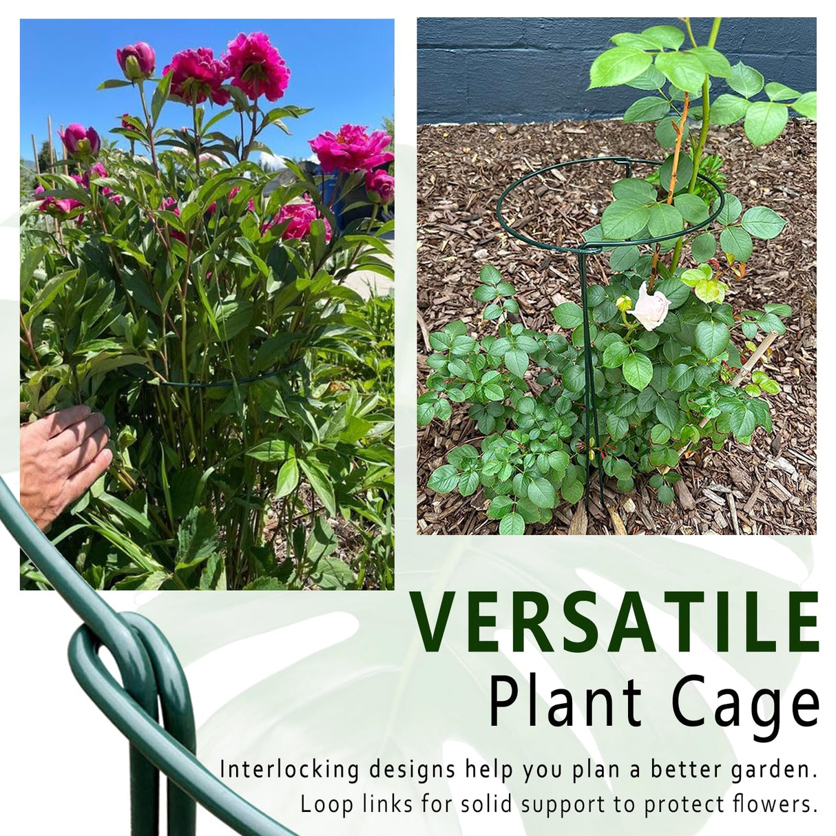6 Pack Plant Support Stakes, 15.8" Half Round Metal Garden Plant Supports for Indoor Plants, Green Plant Cage Ring for Monstera, Peony, Hydrangea, Potted Plant Holder Sticks (10" Wide)