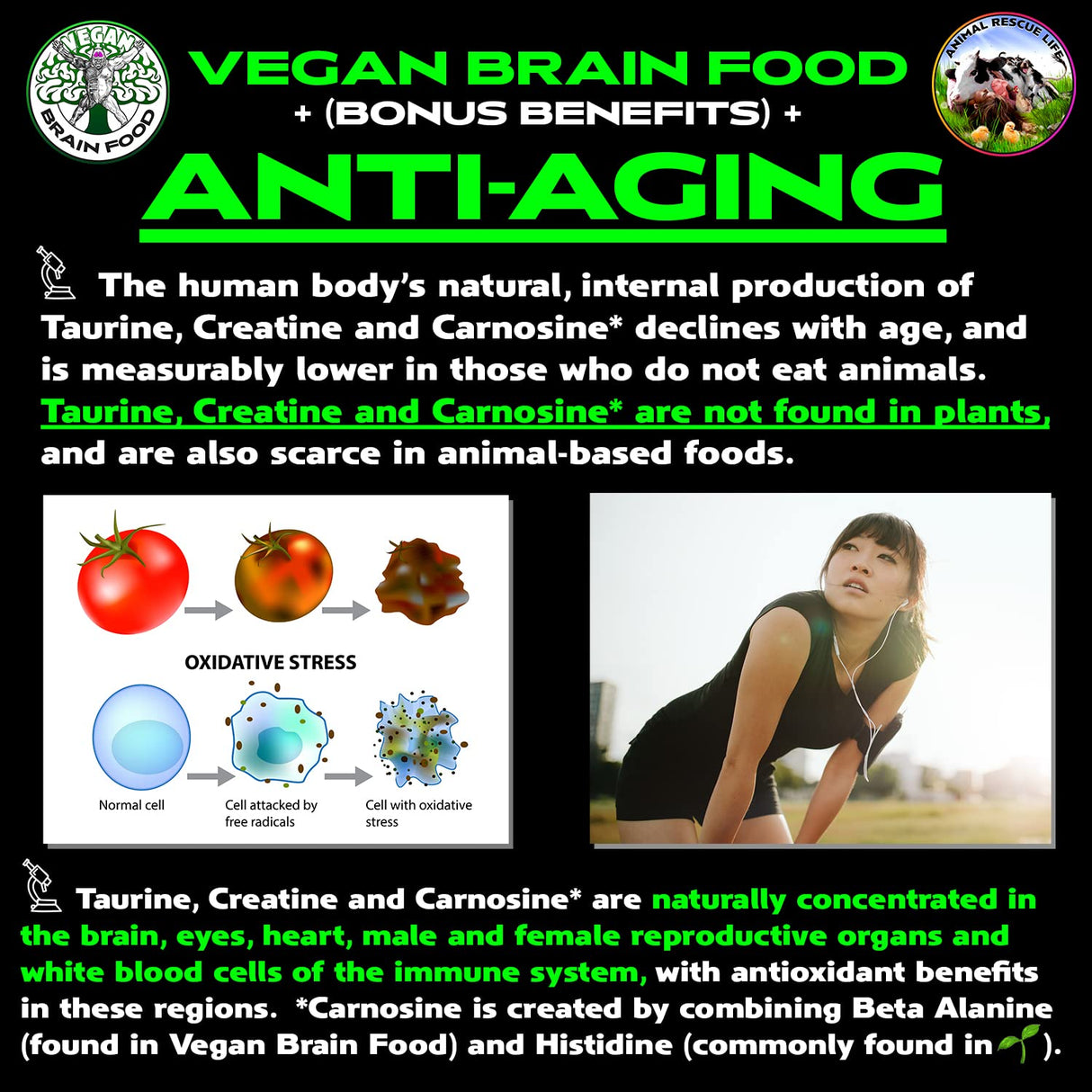 Vegan Brain & Body Boost: The Cherry On Top of A Plant-Based Lifestyle | Working Intelligence | Anti-Aging | Physical Fitness | Vegan Amino Acids - Creatine, Taurine & Beta Alanine | 67 Servings/500g