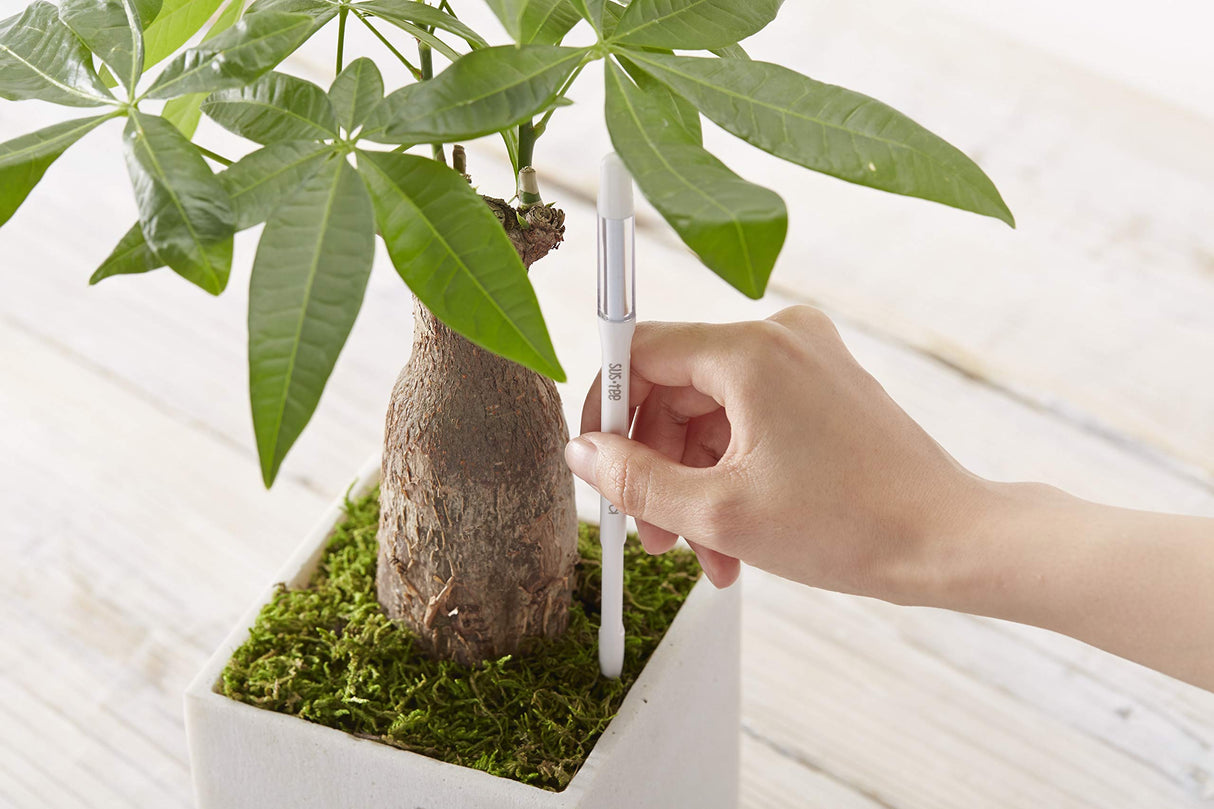 Sustee Aquameter, Set of 5, Plant Soil Moisture Sensor (White, Medium)