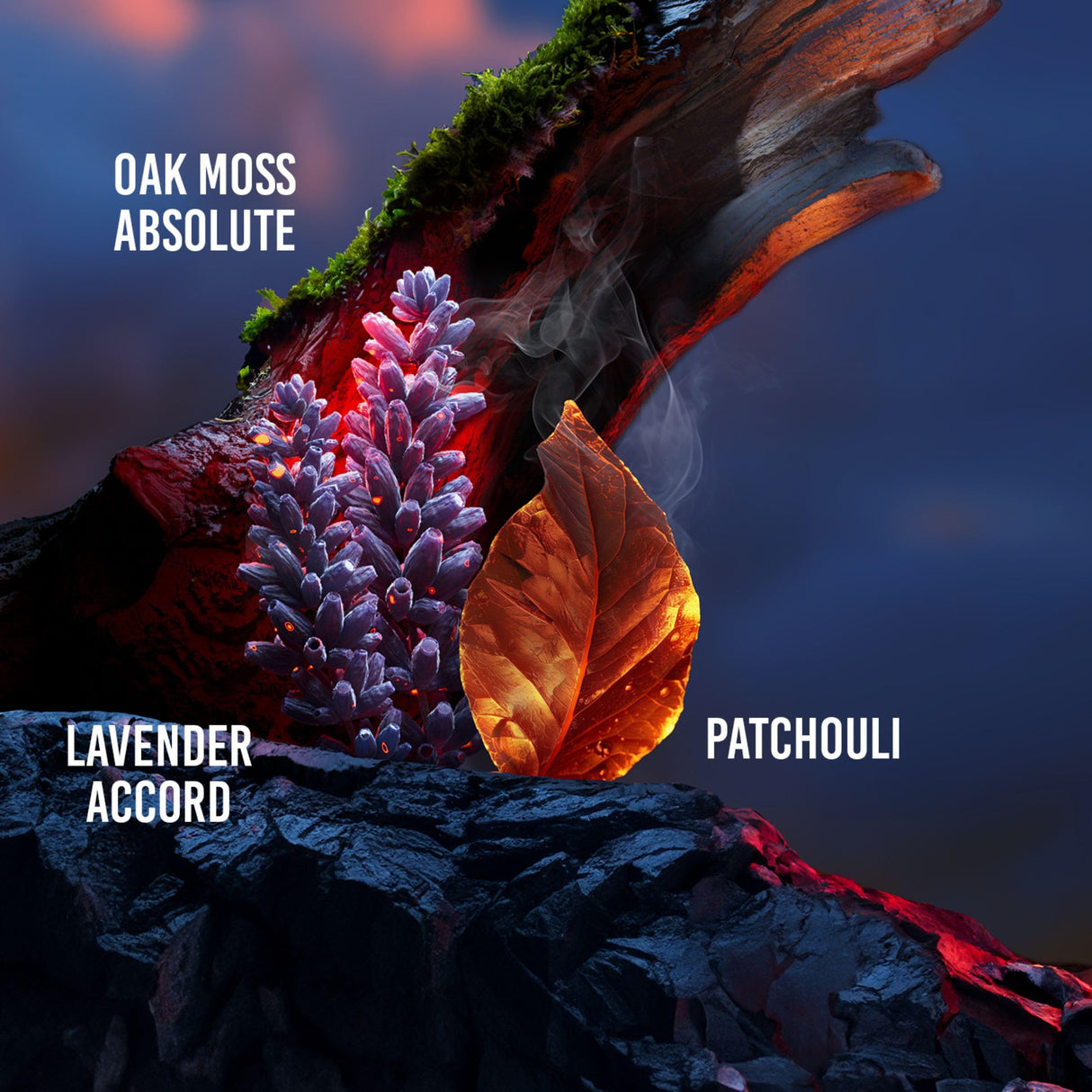 Guy Laroche Drakkar Noir, Iconic Designer Fragrance, Intense & Powerful Eau de Toilette, Fougere Blend & Aromatic Spices, Long Lasting Mens Cologne, Day and Evening Scent, 6.8 Fl. Oz.