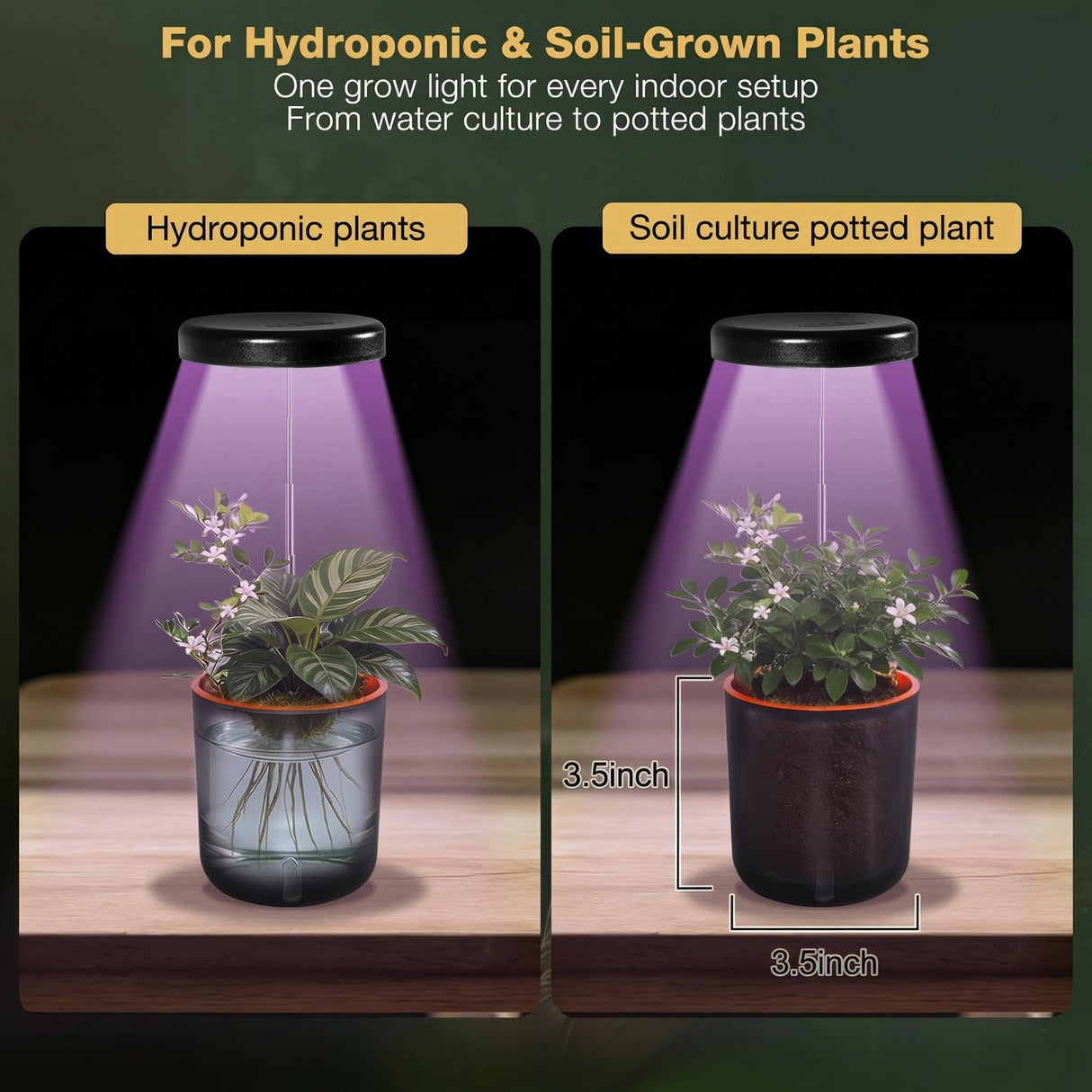 Raygrov Self-Watering Planter with Grow Light, Smart Indoor Pot for Venus Fly Trap, Carnivorous Plants, African Violet, Cat Grass, Catnip & Herbs, 2-in-1 Wall + Desktop, USB 5W Full Spectrum LED