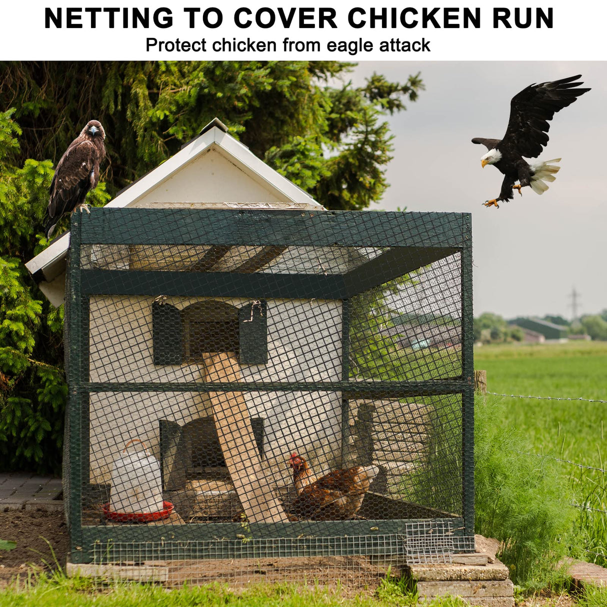 BSTPCOO Bird Netting for Chicken Coop Roof,25 x50ft, Nylon 3/4" Mesh