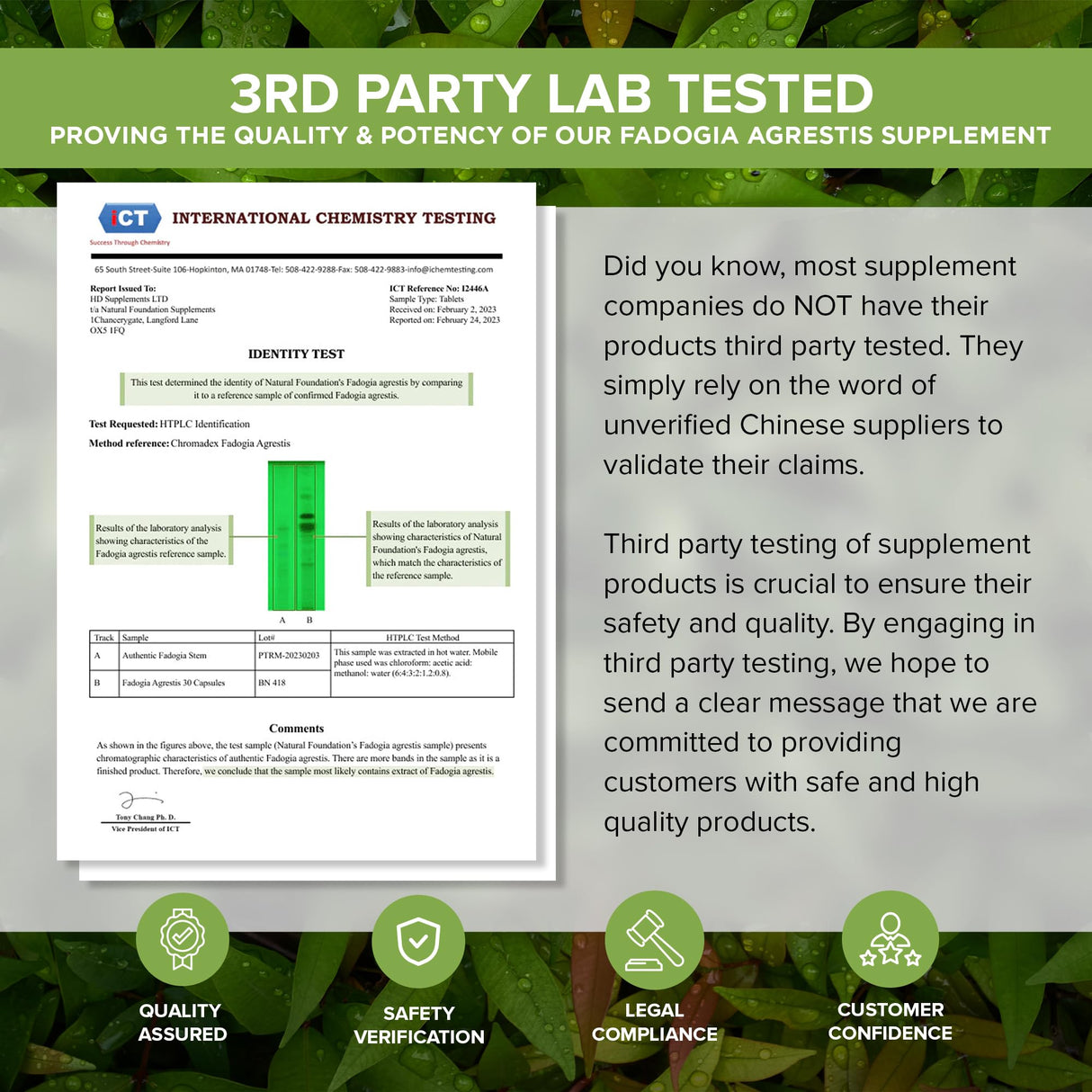 Fadogia Agrestis Extract | 90 High Strength 400mg Capsules | Sports Supplement for Men | Supports Muscle Mass, Strength & Recovery (90)