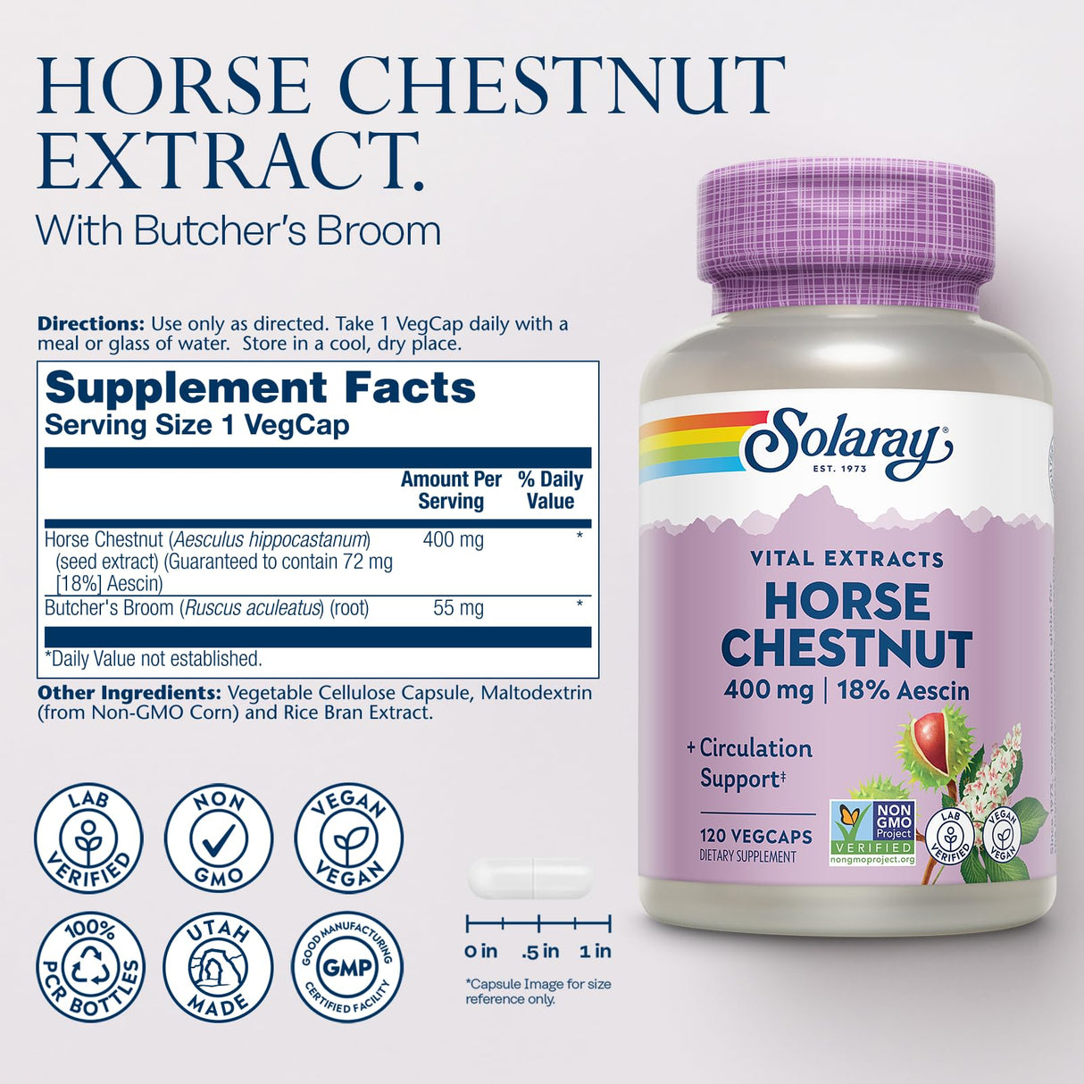 SOLARAY Horse Chestnut Extract 400 mg - Standardized to 72 mg Aescin - with 55 mg of Butchers Broom - Vein and Blood Circulation Supplements - Vegan, Non-GMO, 60-Day Guarantee, 120 Serv, 120 VegCaps