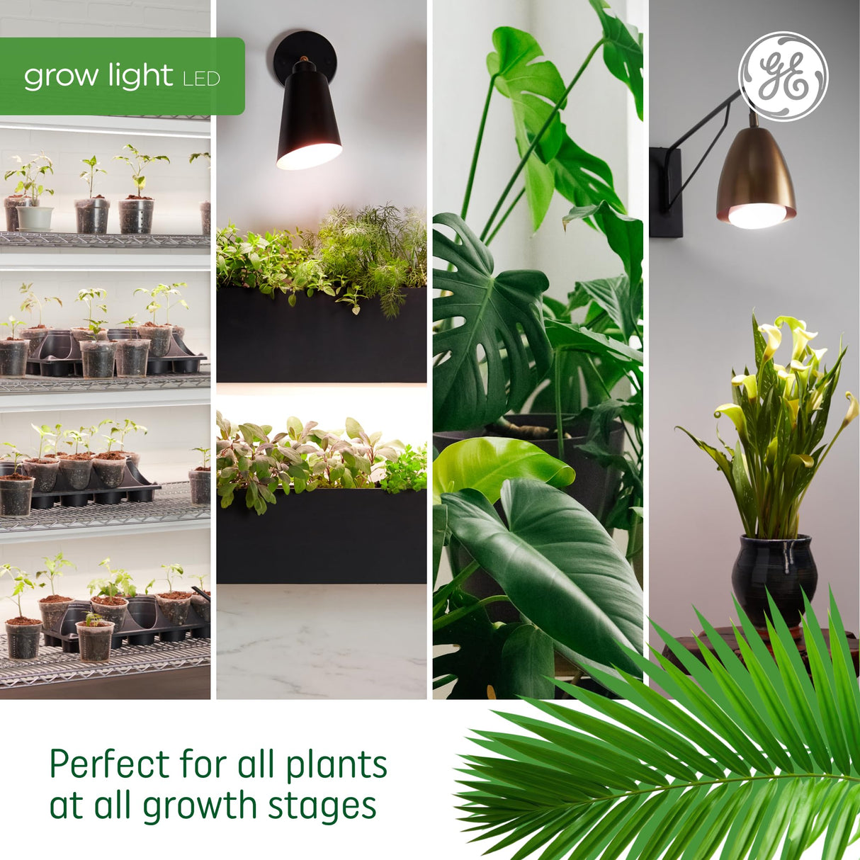 GE Grow LED Light Bulb for Plants Seeds and Greens, Balanced Light Spectrum, A19 (2 Pack)