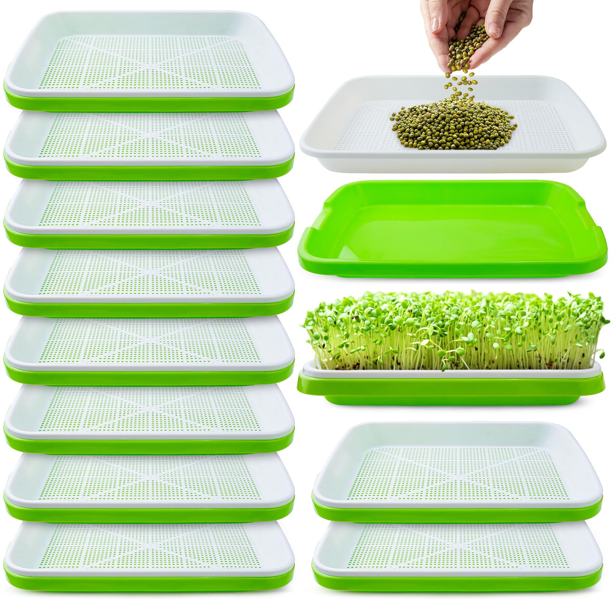 warmfarm Pack 10 of Seed Sprouter Tray with Drain Holes,Seed Germination Trays Kit BPA Free Nursery Tray,Soil-Free Wheatgrass Tray Sprouter Microgreens Growing Kit (Green-10 Pack)