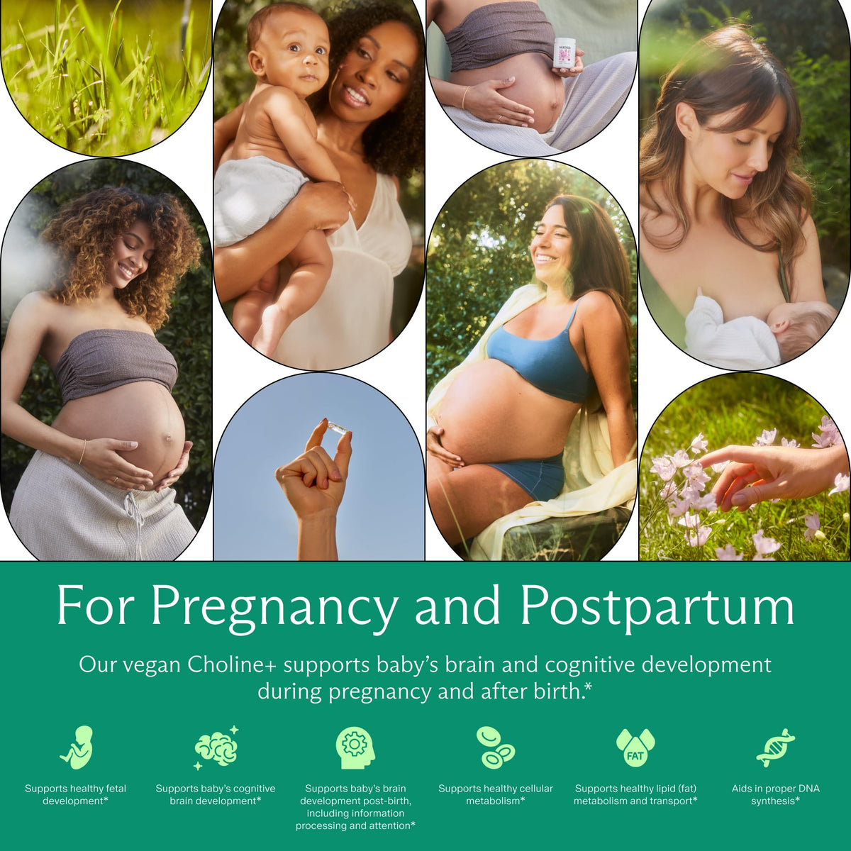 Needed.® Prenatal Choline+ for Cognitive Development, 30 Liquid Capsules