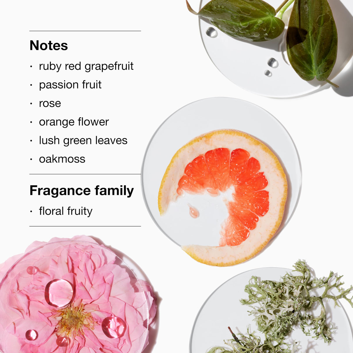 Clinique Calyx Eau de Parfum Spray | Notes of Ruby Red Grapefruit + Guava, 1.7 Fl Oz