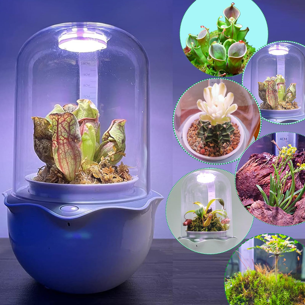 Smart Venus Fly Trap Terrarium Pot with Timer&Fan,Butterwort Plant Pot with Grow Light,Plant Terrarium Kit for Carnivorous Plants, Christmas Birthday Gifts for Women Garden Lover (No Plant)