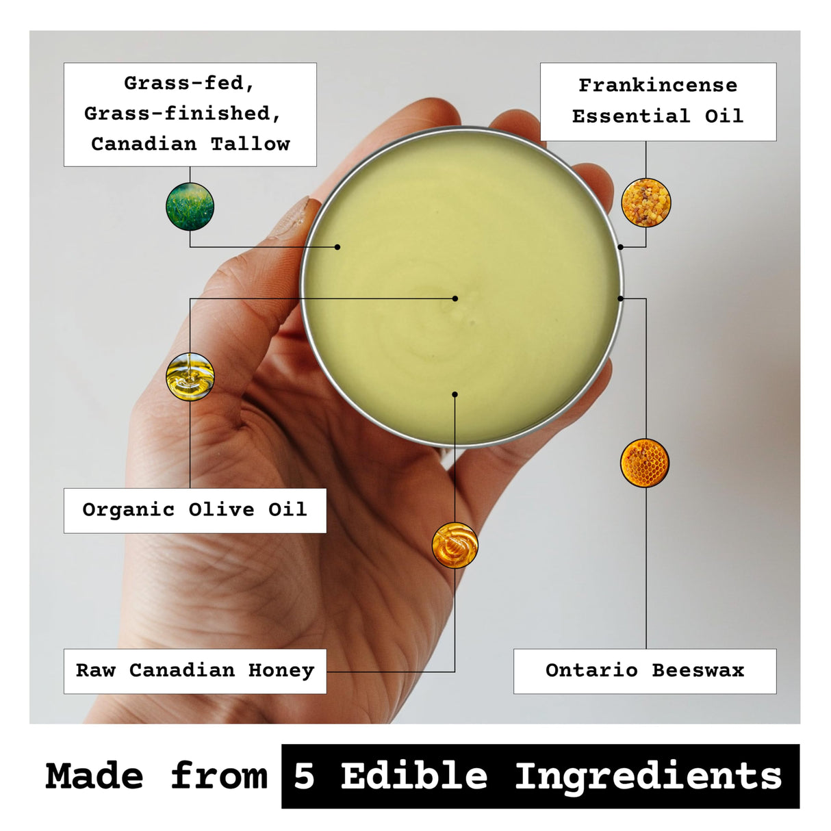 The Tallowed Truth F-Balm Tallow – Grass-fed, Grass-finished Tallow – 5 Ingredients Only – Canadian-made All Purpose Tallow Balm – Made in Canada – Tallow for Face & Body – 2 oz (1-Pack)