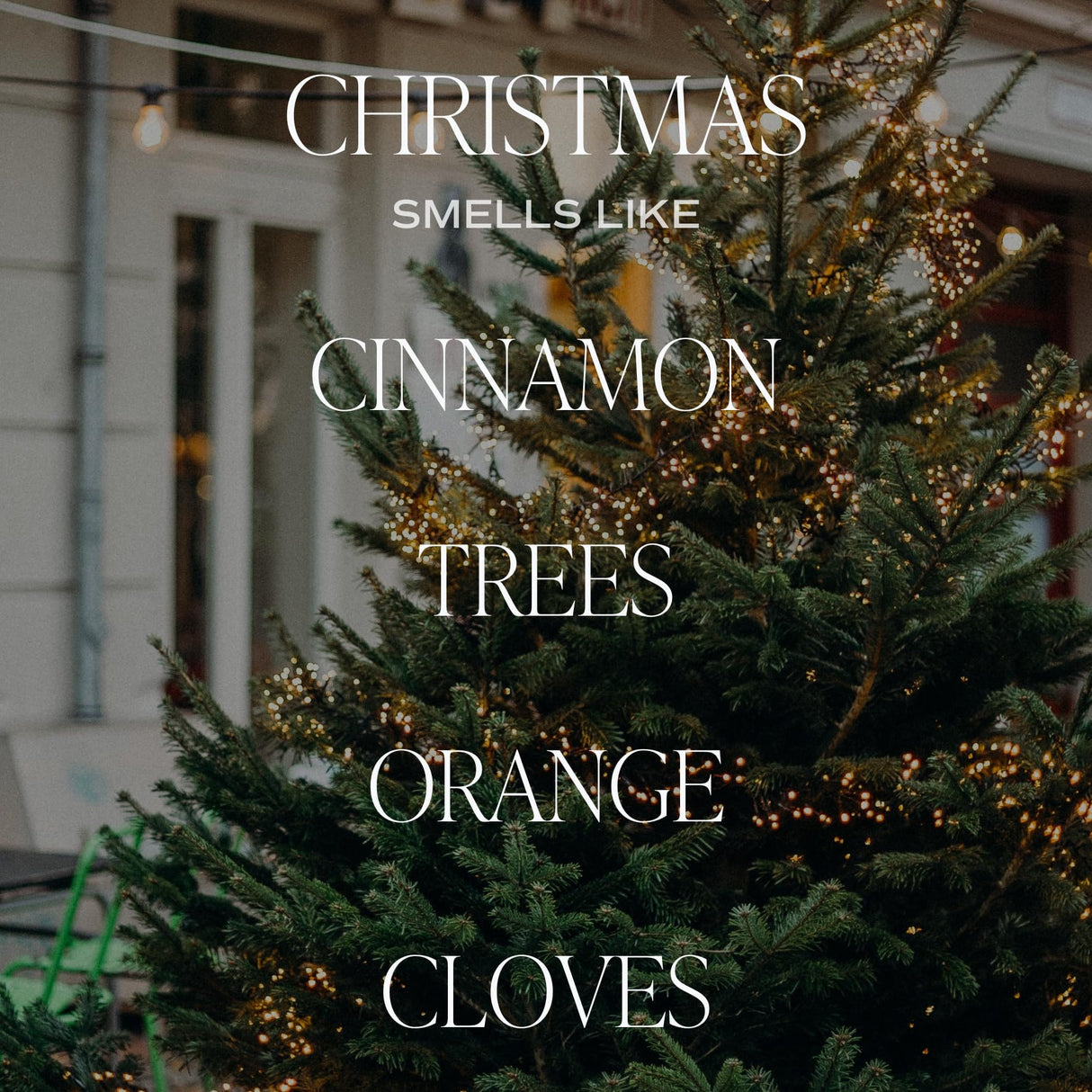 Sweet Water Decor Christmas Reed Diffuser Set - Fresh Cut Trees, Orange, and Cloves Holiday Reed Diffuser for Home with Long Lasting Fragrance - Non-Toxic Oil Reed Diffuser Made in The USA