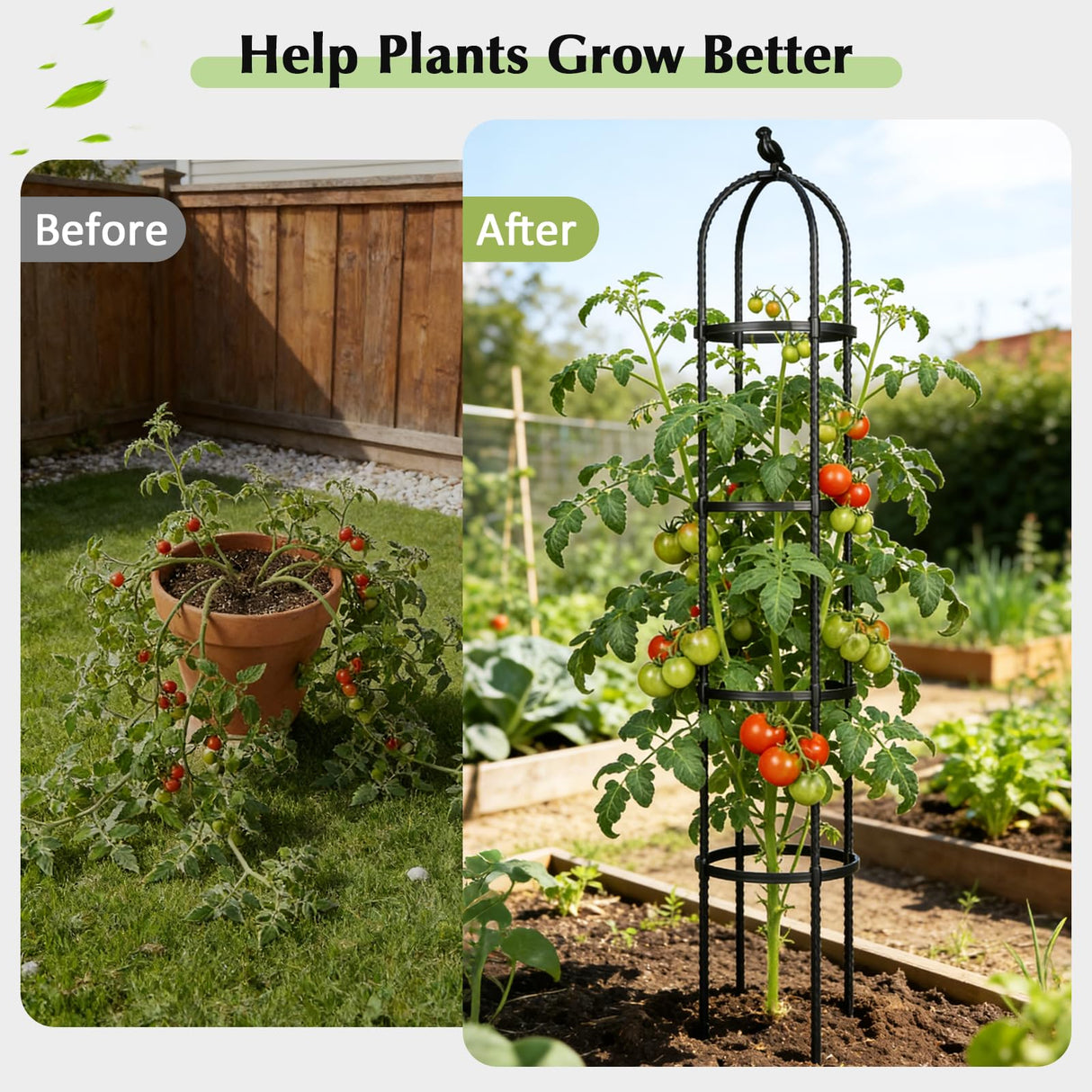 Garden Obelisk Trellis for Climbing Plants Outdoor, 6.2 FT Tomato Cage, Rose, Flowers, Grape, Pea, Cucumber Trellis, Rustproof Plastic Coated Metal Plant Support Trellis for Potted Plants (2 Pack)