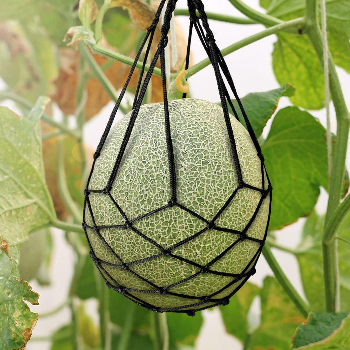 Pack 10 Melon Hammock Watermelon Nets,Melon Hammock for Trellis Heavy Duty Watermelon Nets,Perfect for Growing Cantaloupe Black