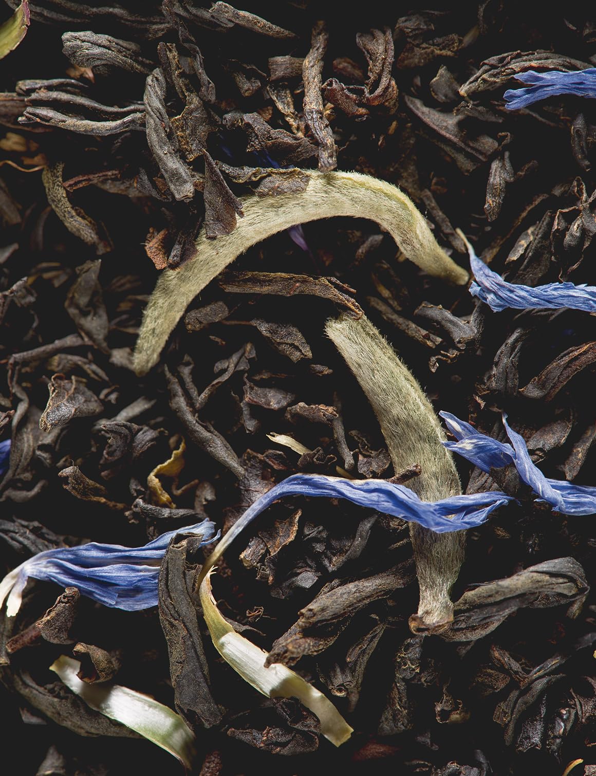 Dammann Freres Sachets, Earl Grey Tea Bags, Premium Gourmet French Black And Citrus Infused Tea, 25 Count (Single Pack)