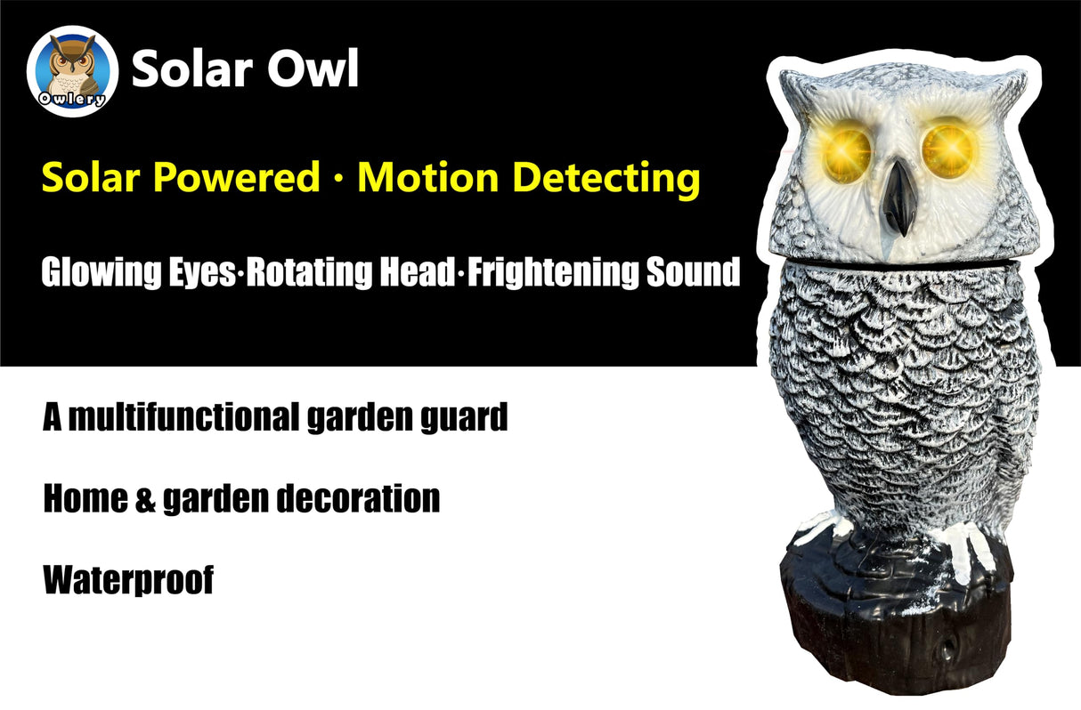 Owlery Snowy Solar Owl With Motion Detector, Flashing Eyes, Spinning Head, Realistic Hooting and Silent Mode, Outdoor Statue, Winter Garden Decoration for Home, Patio and Fence