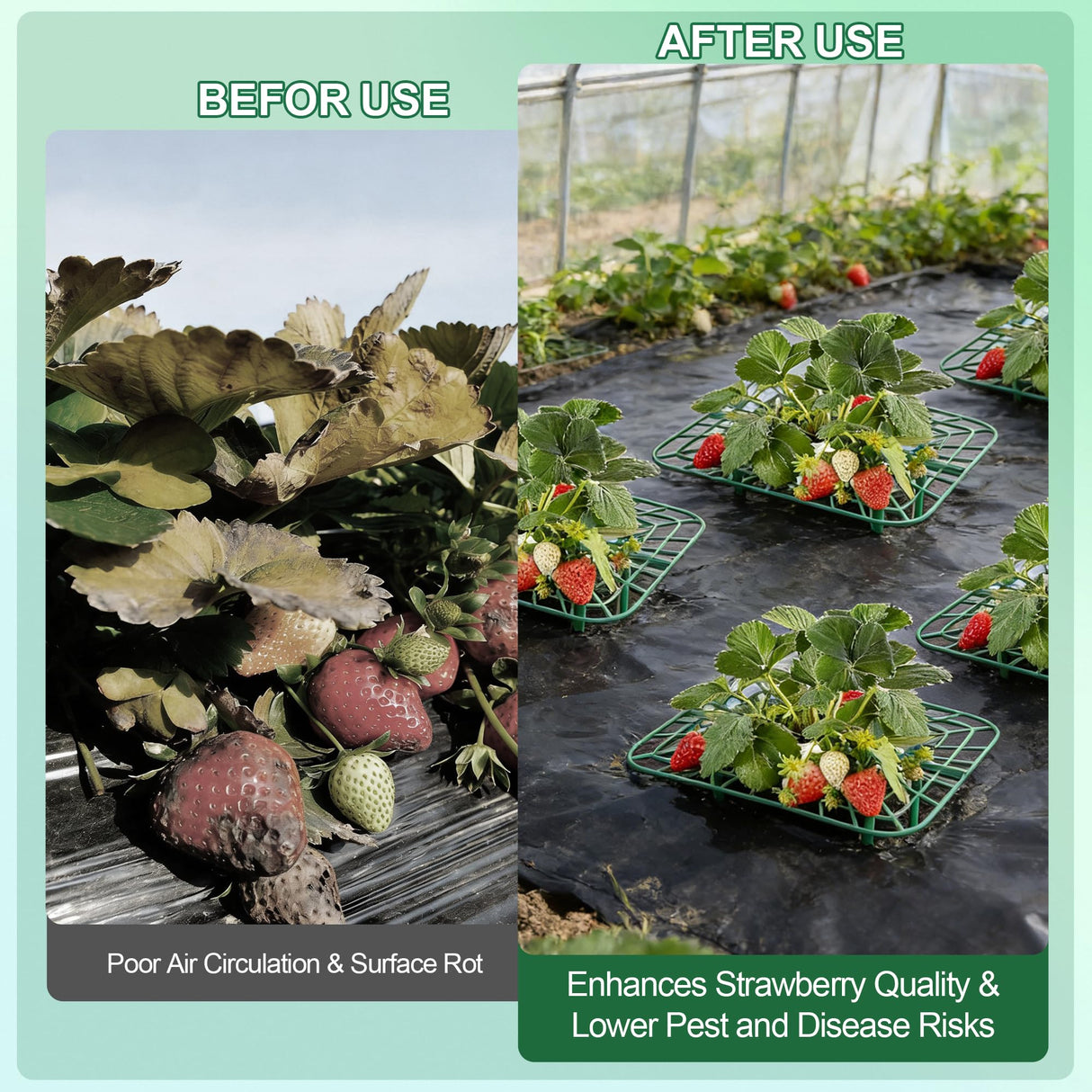 15Packs Strawberry Plant Support, Strawberry Plant Stand Holder Reusable Strawberry Plant Protector Greenhouse Strawberry Trellis Accessories Strawberry Planter for Strawberry Garden Plants