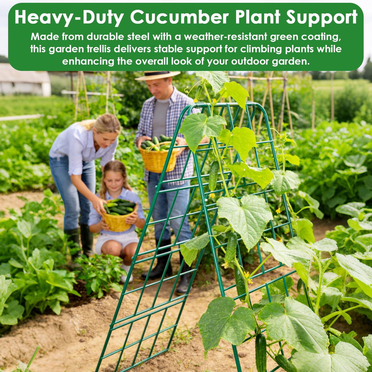 Heavy Duty Metal 50"x17" Cucumber Trellis for Raised Bed, A Frame Garden Trellis for Climbing Plants Outdoor, Plant Trellis Support for Tomato Bean Pea Grape Adjustable Vegetable Garden Trellis