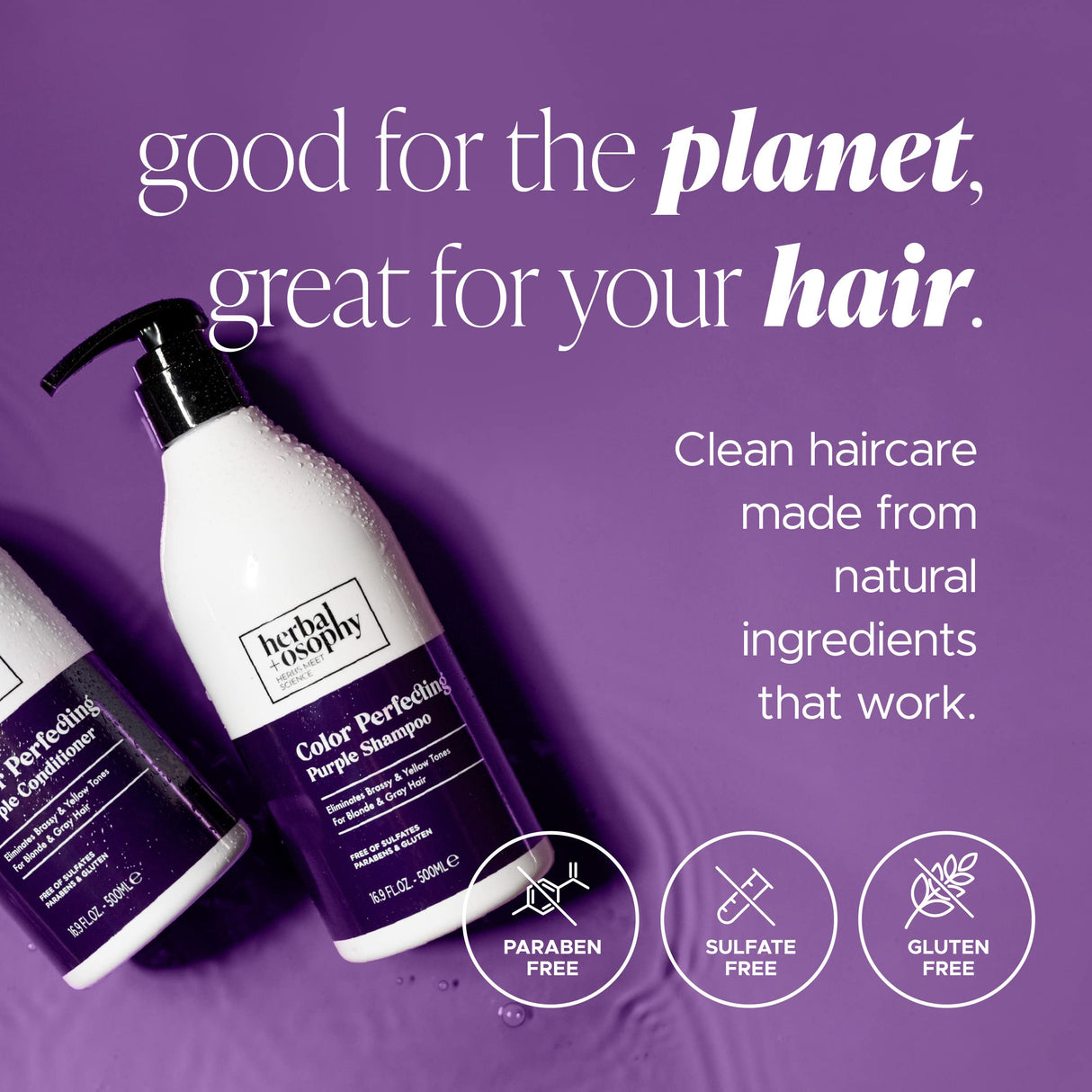 Herbalosophy Purple Shampoo & Conditioner Set for Blonde Gray Hair, Eliminates Brassy and Yellow Tones, Infused with Cocos Nucifera Oil, Free of Sulfate, Parabens and Gluten, 2 x 16.9 Fl Oz
