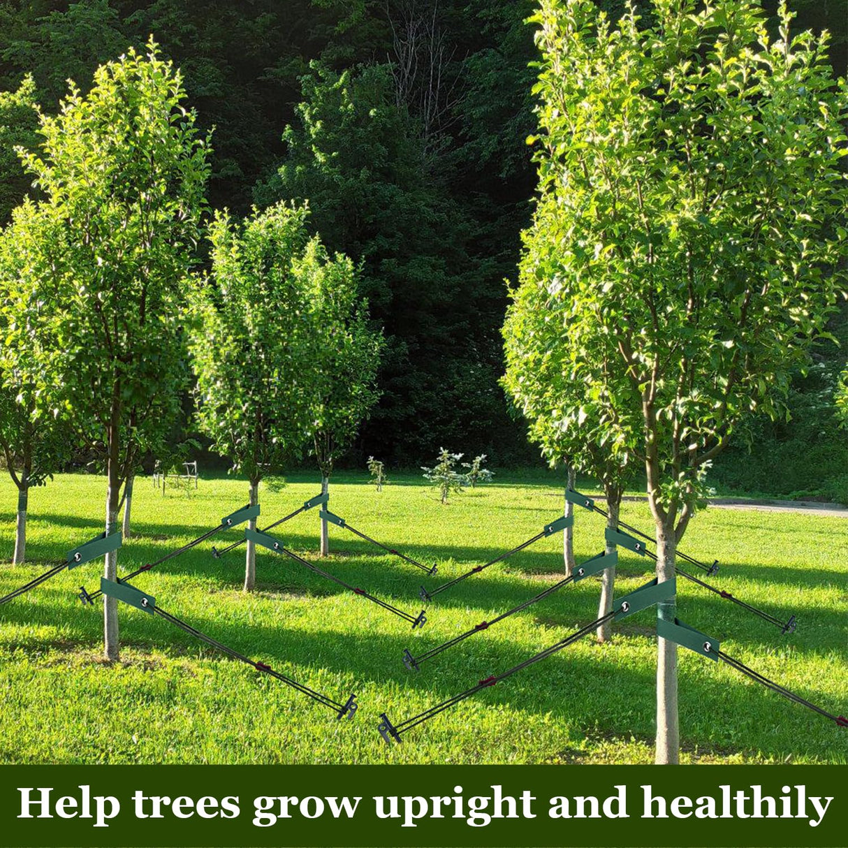 Tree Stakes and Supports, Heavy Duty Tree Stakes Kit Include 3Pcs Tree Straps for Staking, 3Pcs 16" Steel Spikes, and 39Ft Rope, Tree Supports for Young Tree Anti Strong Wind, Bad Weather