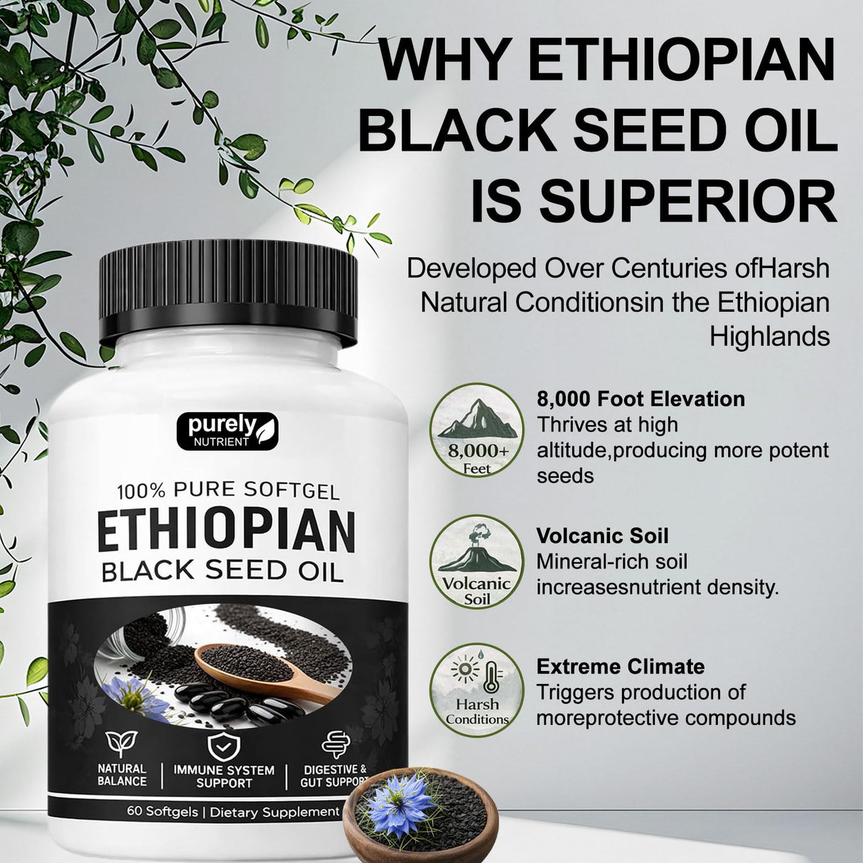 Purely Nutrient Ethiopian Black Seed Oil, Purely Ethiopian Black Seed Oil Capsules 4.64% Thymoquinone, Organic Cold Pressed Black Cumin Seed Oil Softgels, Non-GMO, Gluten-Free, 60 Softgels