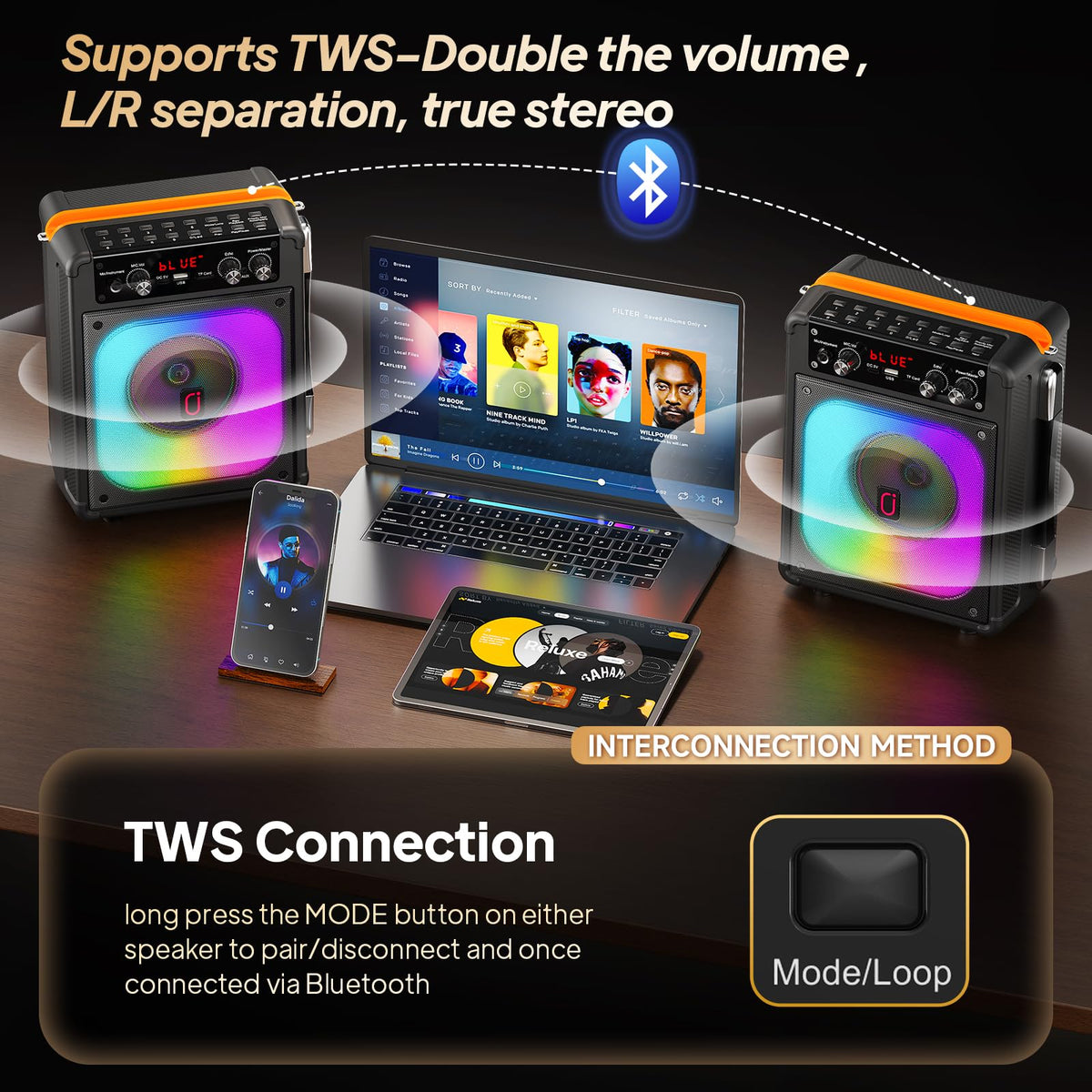 HWWR Karaoke Machine with 2 Mics for Adults & Kids, Stage Subwoofers Set
