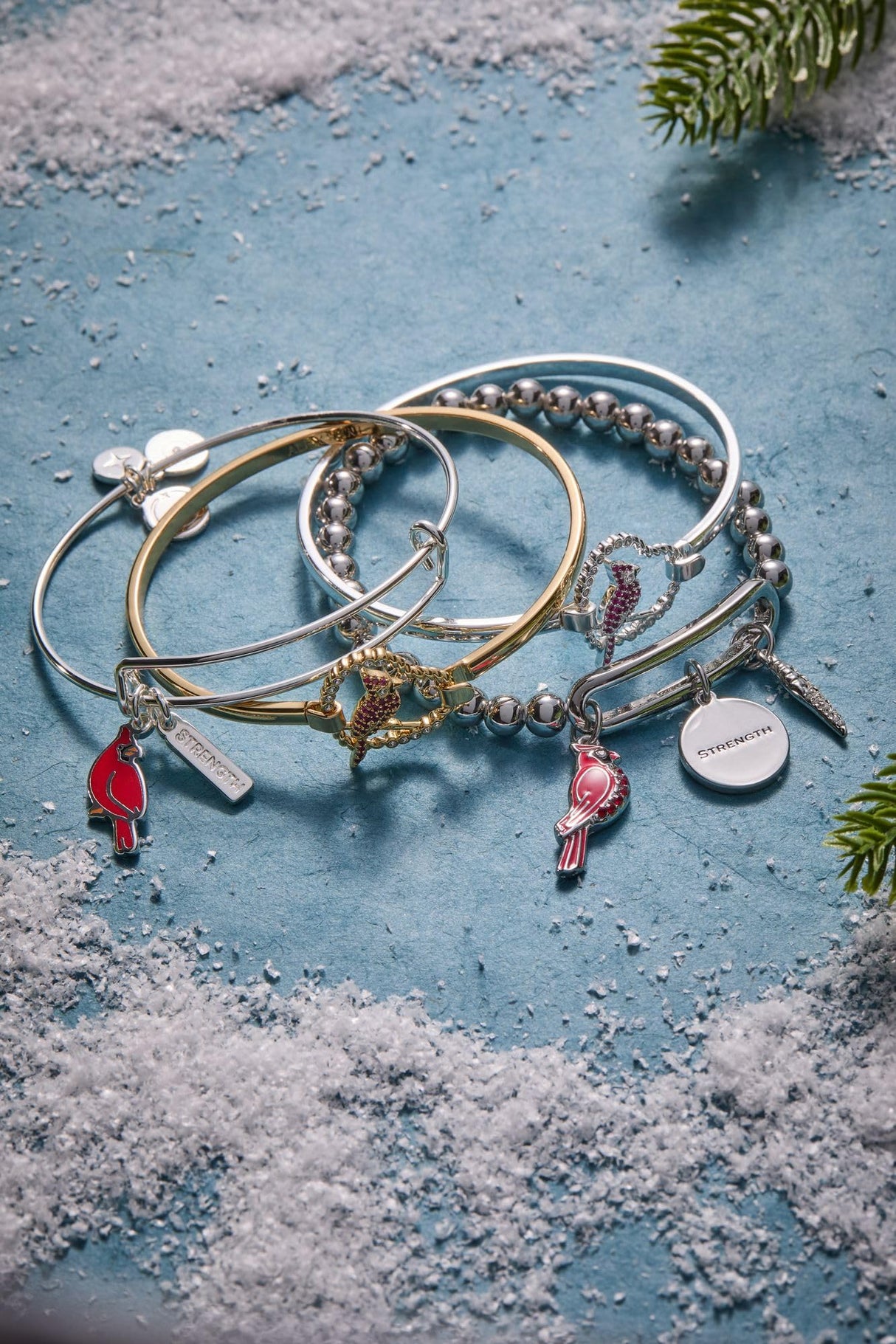 ALEX AND ANI 'Strength' Cardinal Duo Charm Bangle Bracelet - Red Cardinal Charm, Inspirational 'Strength' Accent, Nickel-Free, Cardinal Jewelry for Women (Shiny Silver)