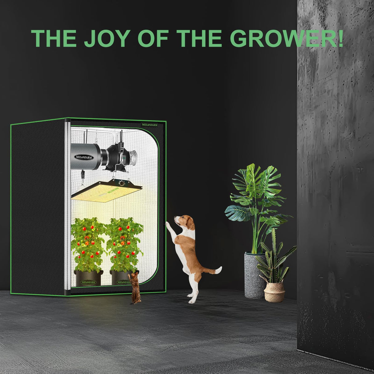 MELONFARM 2x2 Grow Tent, 24"x24"x32" Double Transparent Viewing Door Indoor Grow Tent, Growing Tent with High Reflective Mylar & Floor Tray, Plant Tent for Indoor Hydroponics Growing