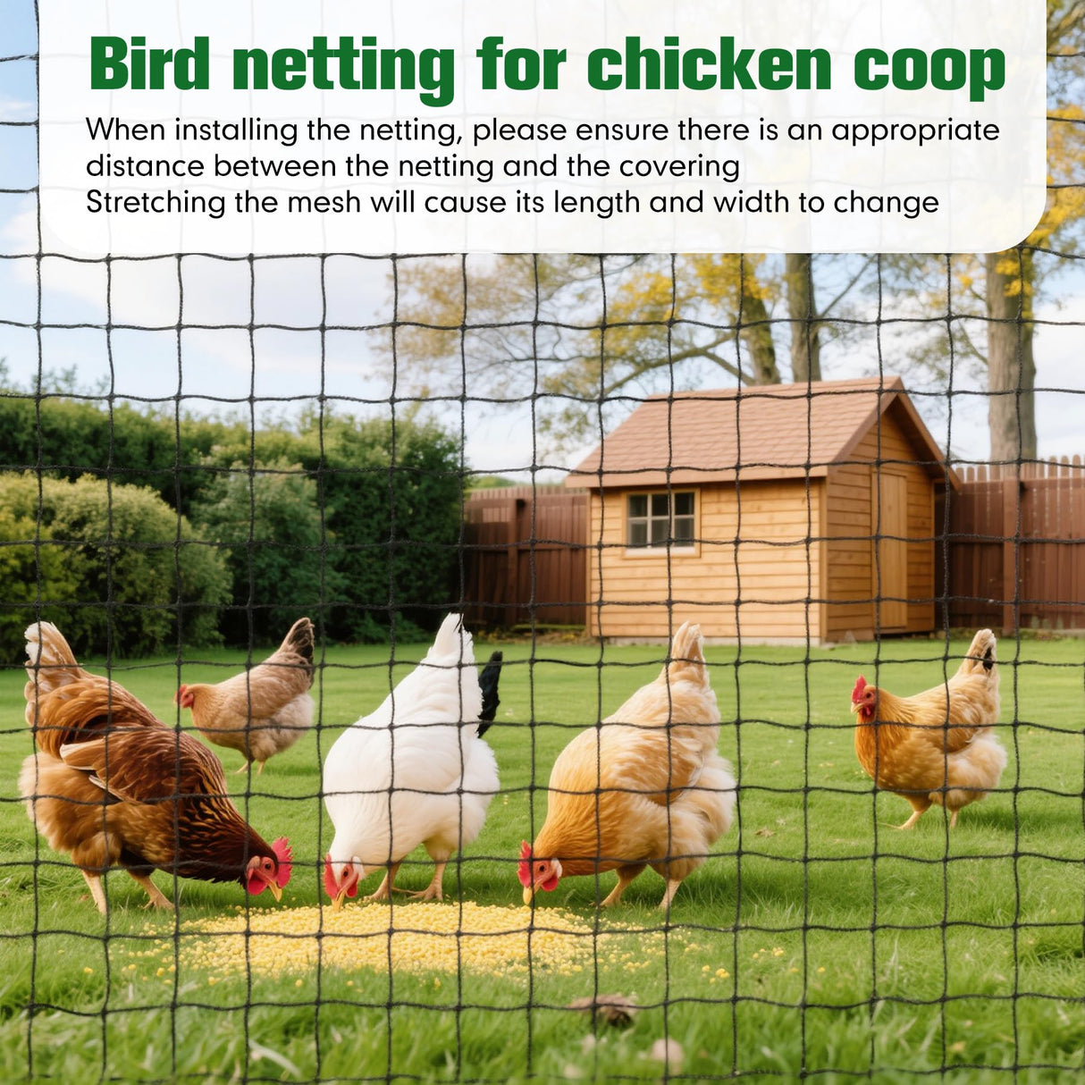 50 x 100 ft Bird Netting for Chicken coop 2.4" Mesh Poultry Netting, Protects Garden, Fruit Trees & Poultry from Birds & Small Animals