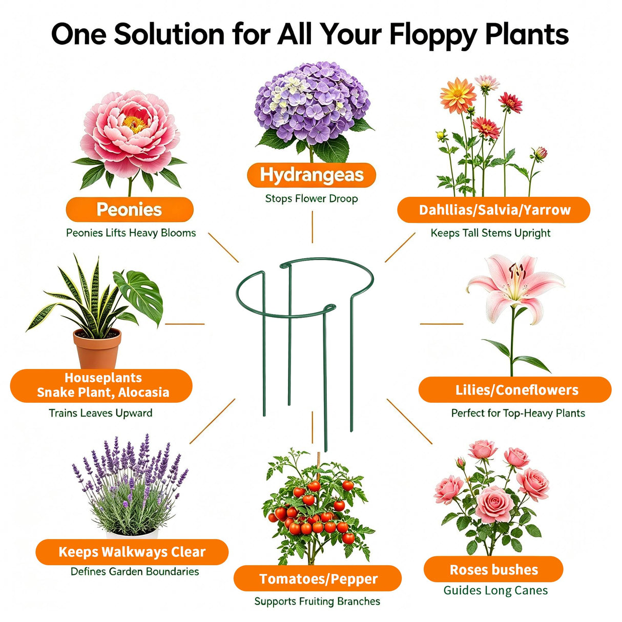 AMAGABELI 6 Pack 16 Inch Plant Support Stakes Peony Cage Heavy Duty Ring Metal Garden Support Structures Plant Cage with Ties for Indoor Flower Outdoor Tomato Hydrangea Monstera
