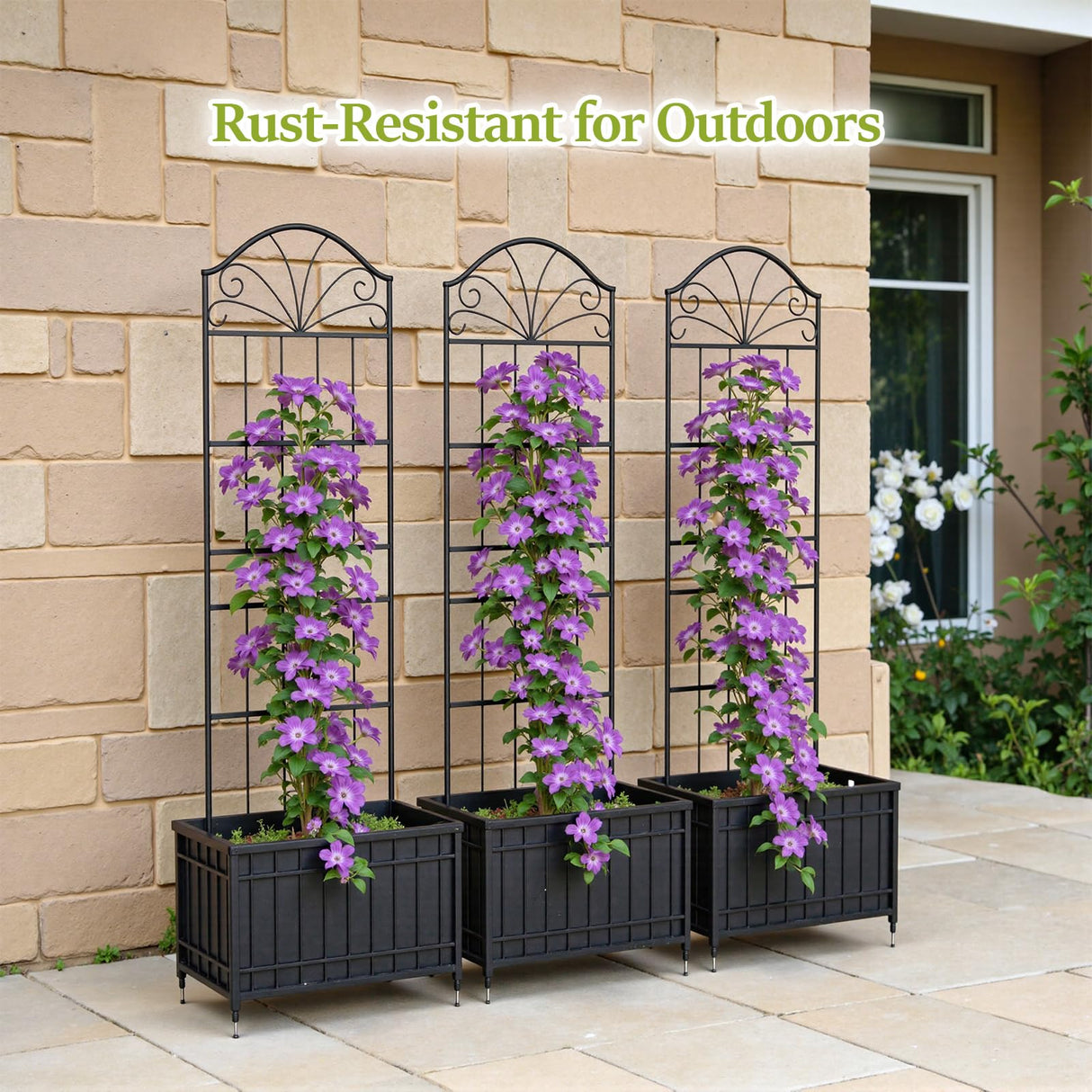 VOXOR Metal Trellis for Climbing Plants Outdoor, 60 * 19.7 Inch Tall Garden Trellis with Black Rustproof Coating, Decorative Rose Trellis for Climbing Roses, Vines, and Flowers, 2 Pack