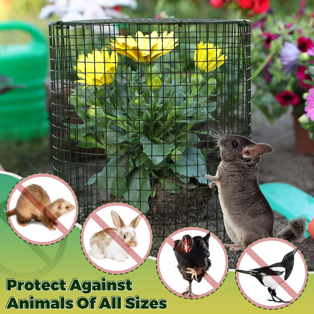 Hiboom 4 Set Garden Plant Protectors from Animals with Stakes, Metal Mesh and Detachable Covers Wire Plant Cage for Keeping Bunny Animals Out, Chicken Wire Cover Garden Protection (12x13)