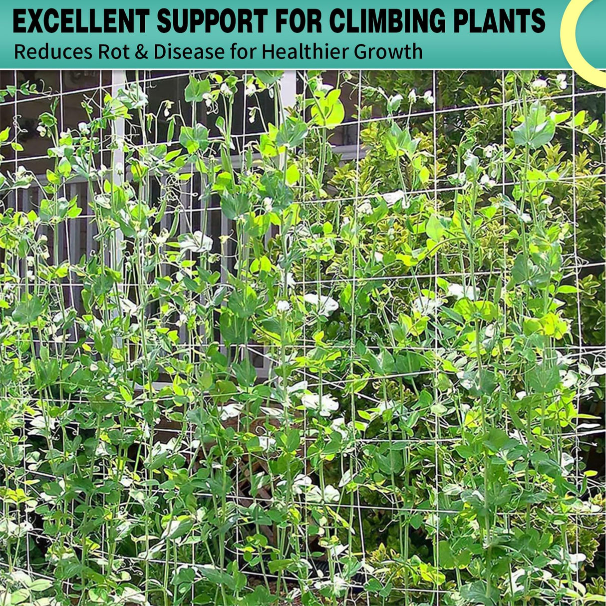 DOLEMODUO 7X 60 Ft Nylon Trellis Netting, 6×6 Heavy Duty Trellis Mesh Garden Netting for Climbing Plants, Use for Tomatoes, Cucumbers, Peas, Grape Racks