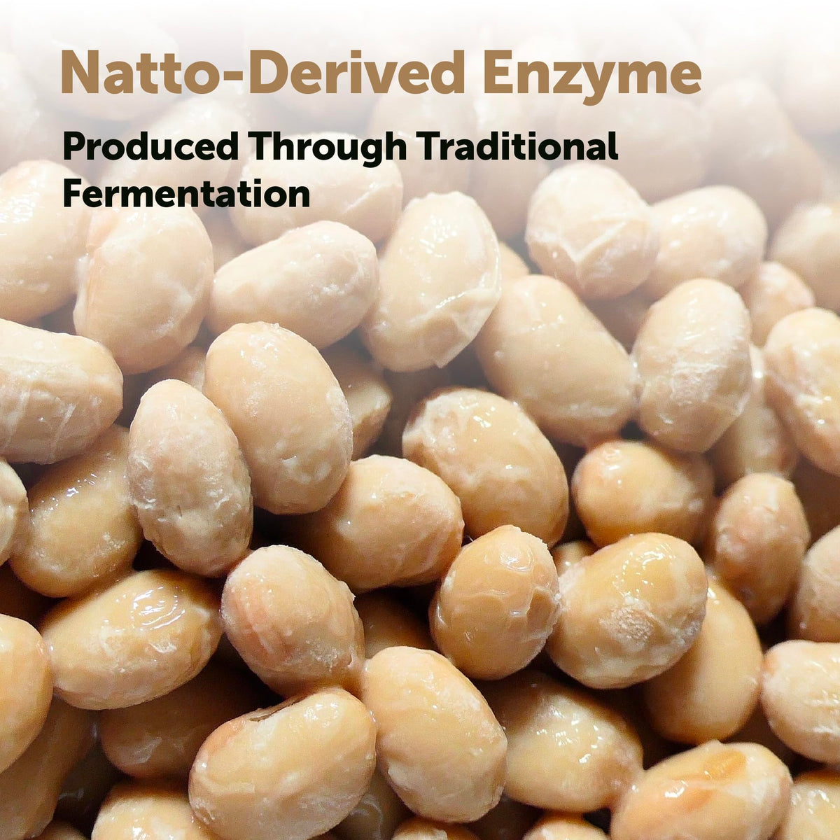 Micro Ingredients Nattokinase 10,000 FU Per Serving, 240 Veggie Capsules