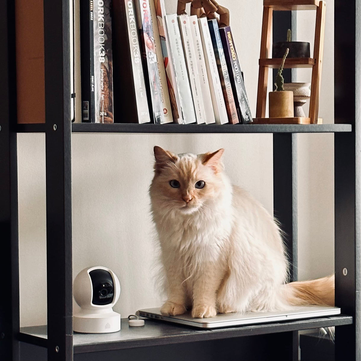 Kasa 1080p Indoor Pan/Tilt Wired Security Camera, Baby & Pet Monitor, EC70