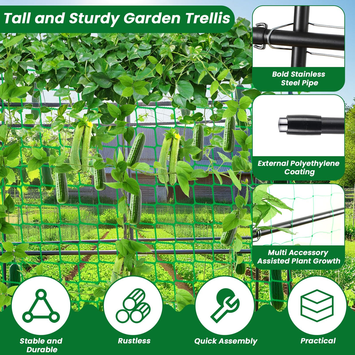PKBD Tall Garden Arch Trellis for Climbing Plants Outdoor