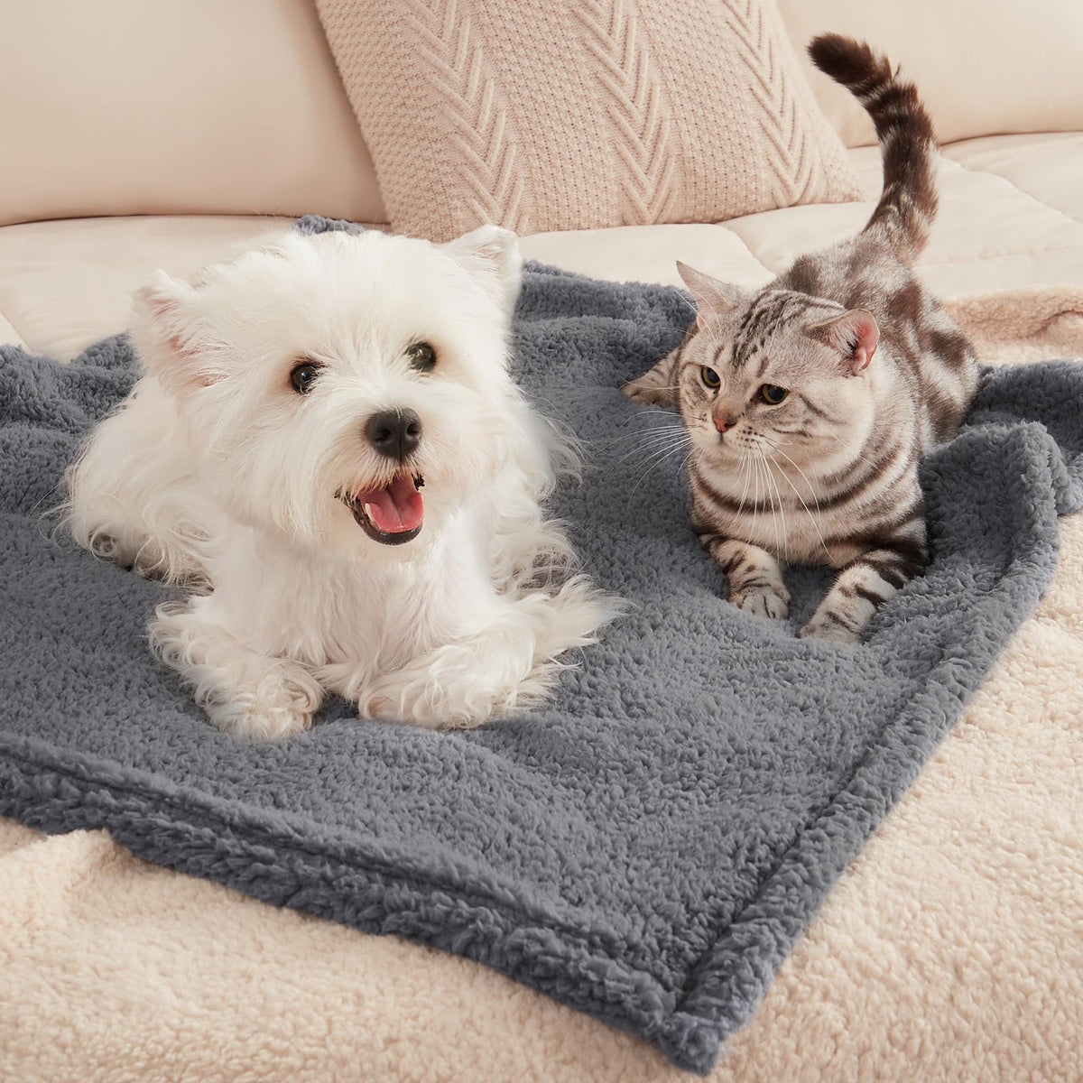 1 Pack 3 Calming Blankets Fluffy Premium Fleece Pet Blanket Soft Sherpa Throw for Dog Puppy Cat Beige Small (23" x16'')