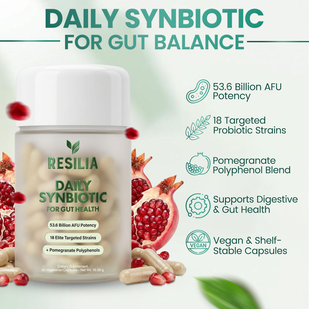 Resilia Synbiotic Probiotic + Prebiotic Supplement for Women & Men – 53.6 Billion AFU, 19 Strains, Shelf-Stable Capsules with Polyphenols, Digestive & Gut Balance Support, 60 Capsules