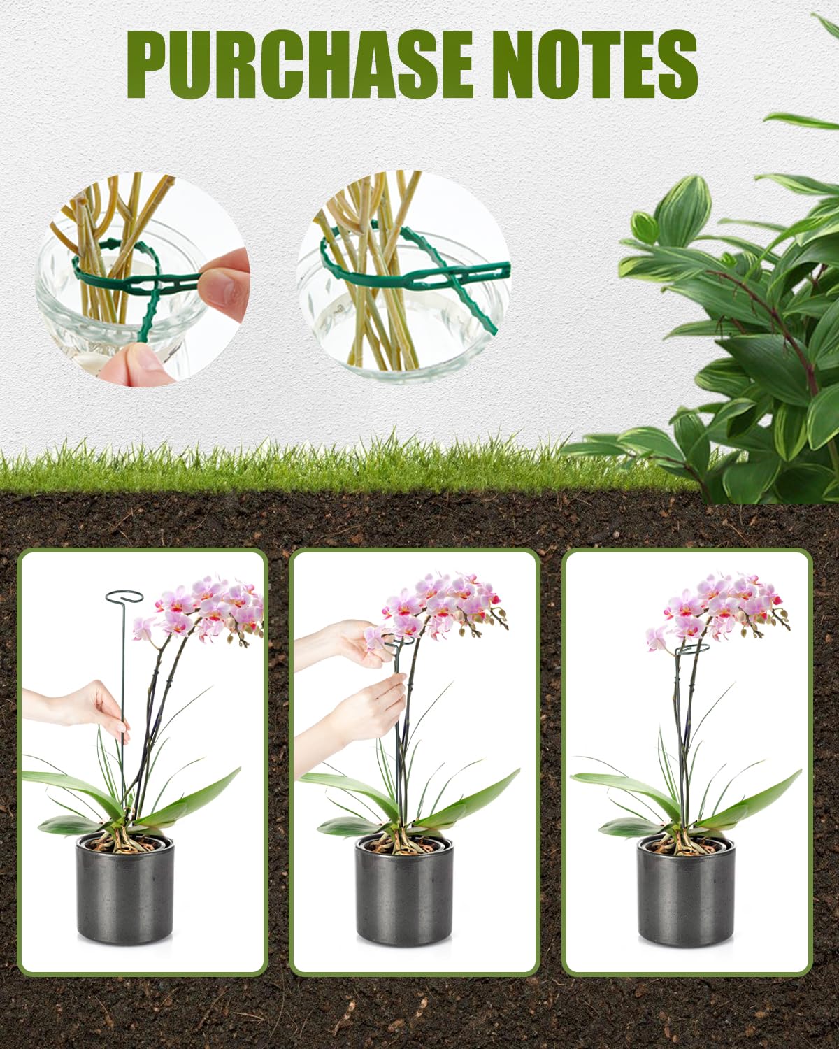 12 Pack 36 Inch Plant Support Stakes for Outdoor Plants and Indoor Flowers