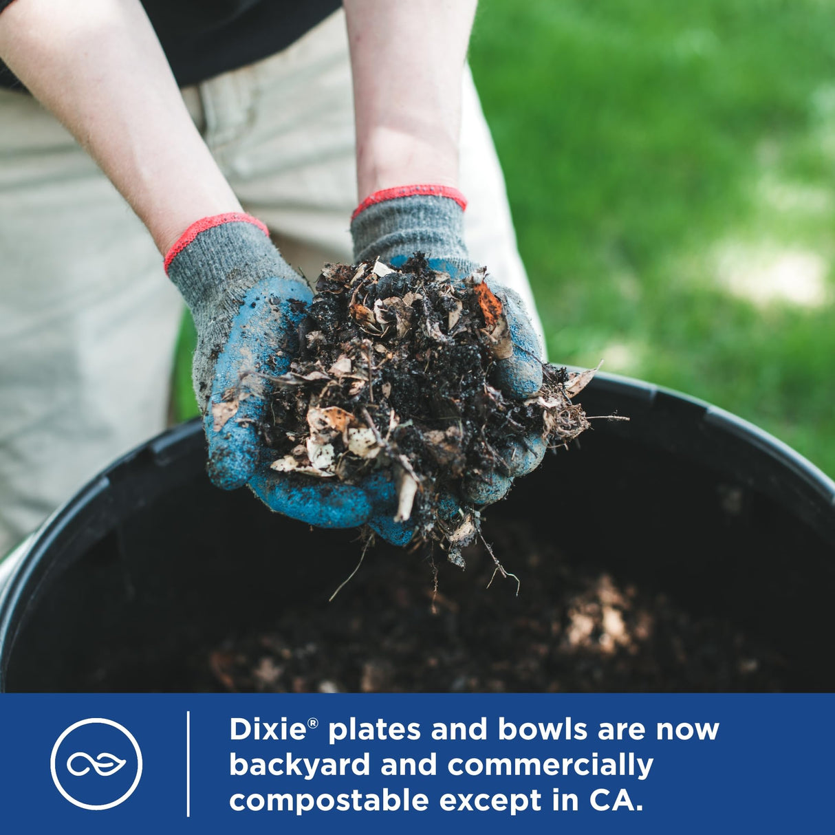 Dixie Small Paper Bowls, 10 Oz, 36 Count (Pack of 8), Microwave-Safe, Soak-Proof, Disposable Bowls Great For Snacks, Dessert, And Light Lunch Meals