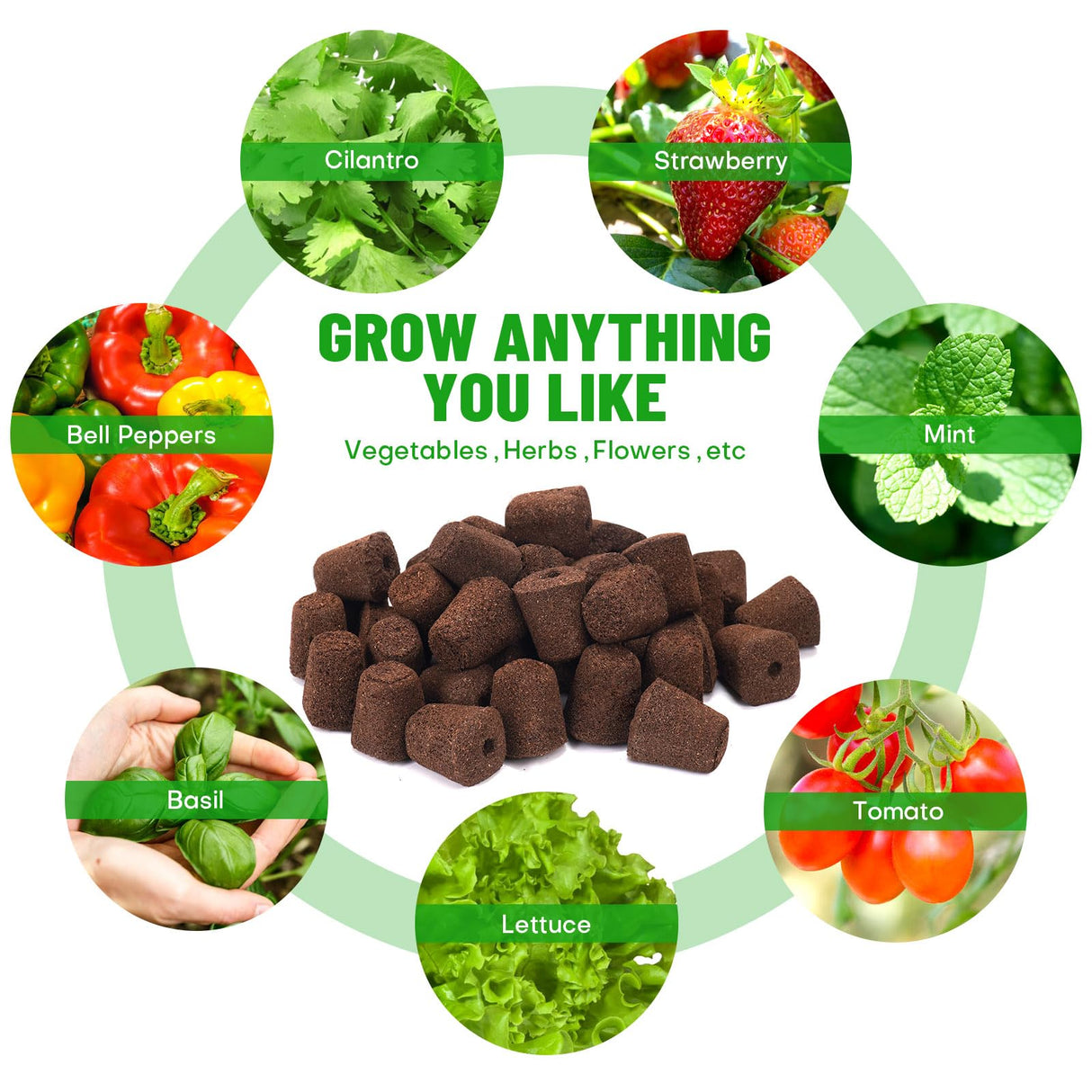 LAPOND 50 Pcs Seed Starter Plugs,Replacement Root Grow Sponges Plant Plugs,Great for Soil, Tray or Planting Pods, Promotes Herbs, Vegetables and Flowers Growth