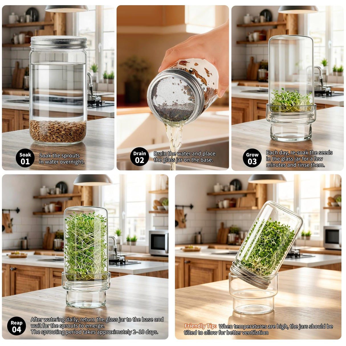 Elitrivox Sprouting Jar Kit, 2 Pack Wide Mouth Quart Mason Jars | Broccoli, Microgreens, Alfalfa Sprout Jar | Perfect for Home Gardeners, Health Enthusiasts & Vegan Diets