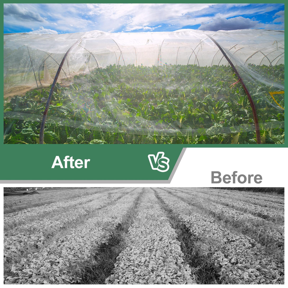 Garden Netting Pest Barrier 10 x 50FT Garden Mesh Netting Insect Netting Garden Neting for Raised Beds Garden Insect Barrier Plant Mesh Cover for Vegetable Flowers Fruits Plants Greenhouse