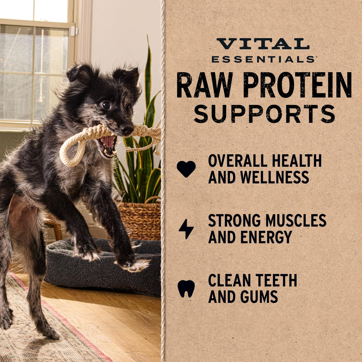 Vital Essentials Freeze Dried Raw Chicken Hearts Dog Treats, 3.75 oz Bag