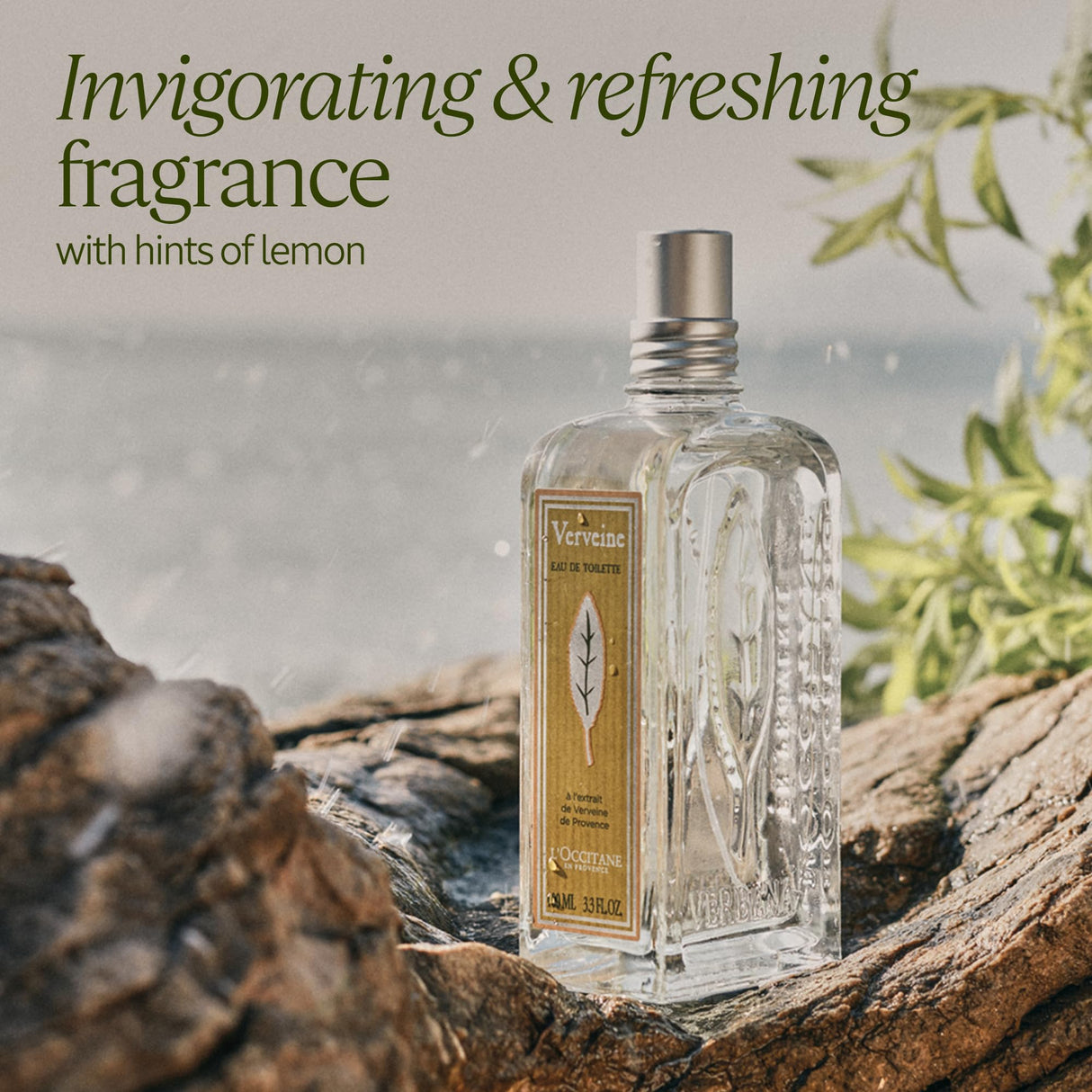 L'Occitane Verbena Eau de Toilette 3.30 fl. oz