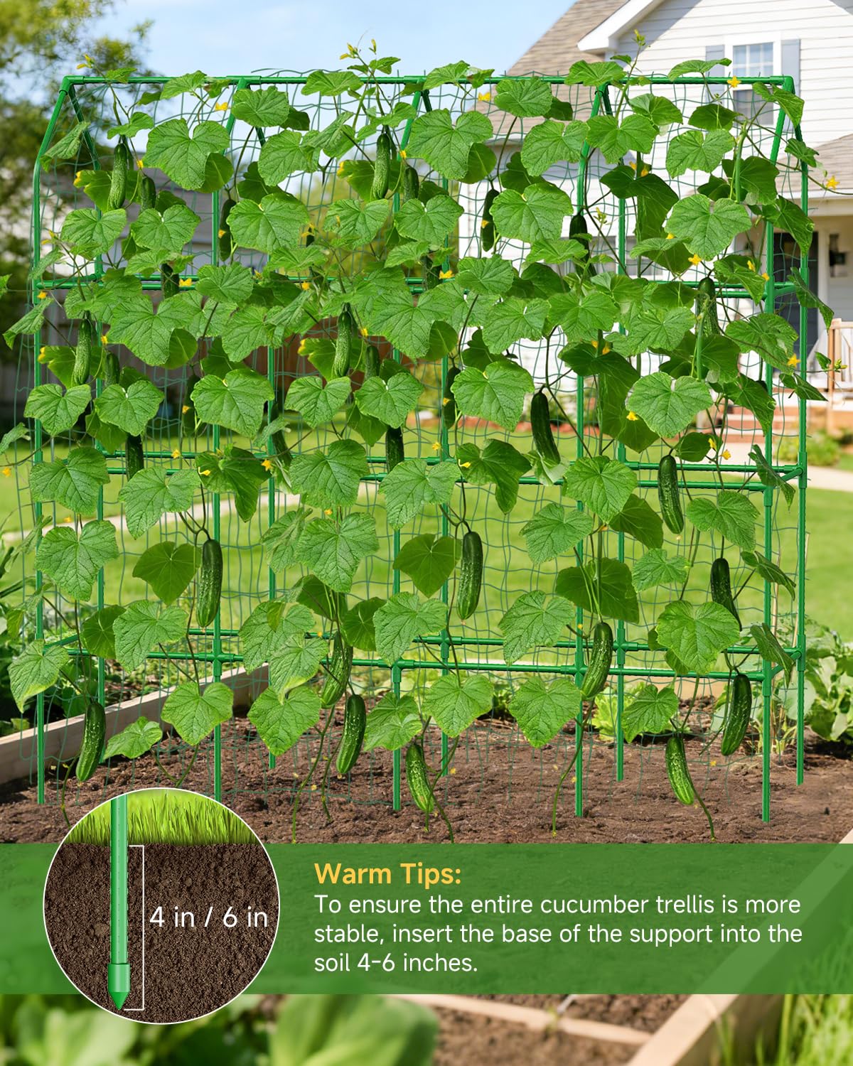 Cucumber Trellis for Climbing Plants Outdoor, A-Shape Garden Trellis for Raised Bed, Metal Plant Trellis with Garden Netting for Flower Vegetables, Pea, Grape ((67 * 17 * 65inch(L*W*H), Trellis)
