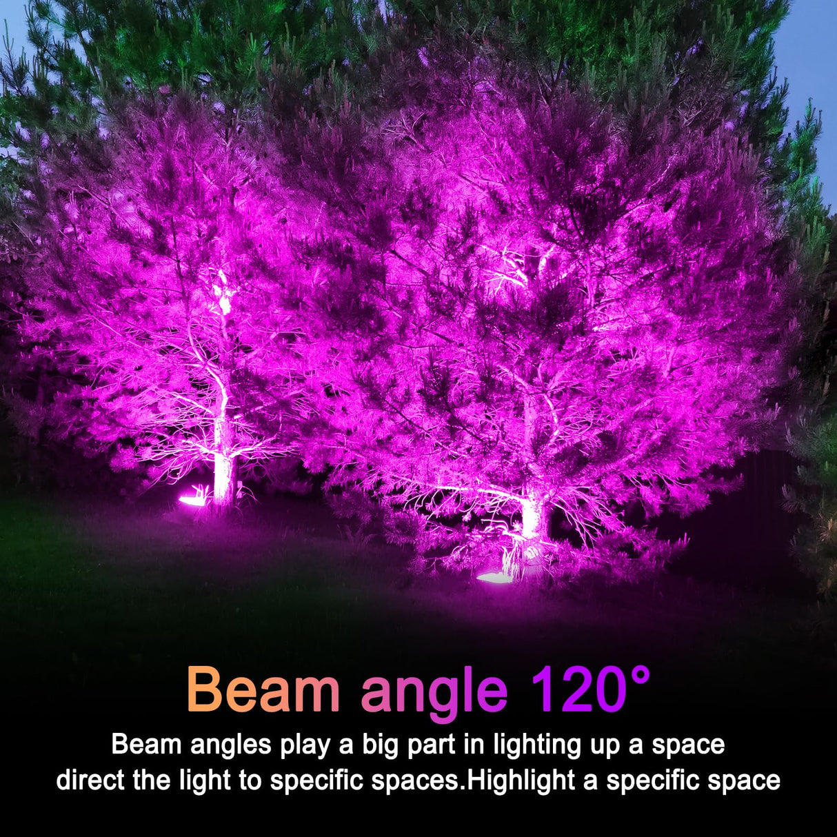 LOXYEE PAR38 Flood Purple Light Bulbs,4 Pack Dimmable,E26 Base Purple Flood Light Outoor(20W Replace to 200W),Halloween Light Bulb for Outside,Christmas,Holiday Lighting