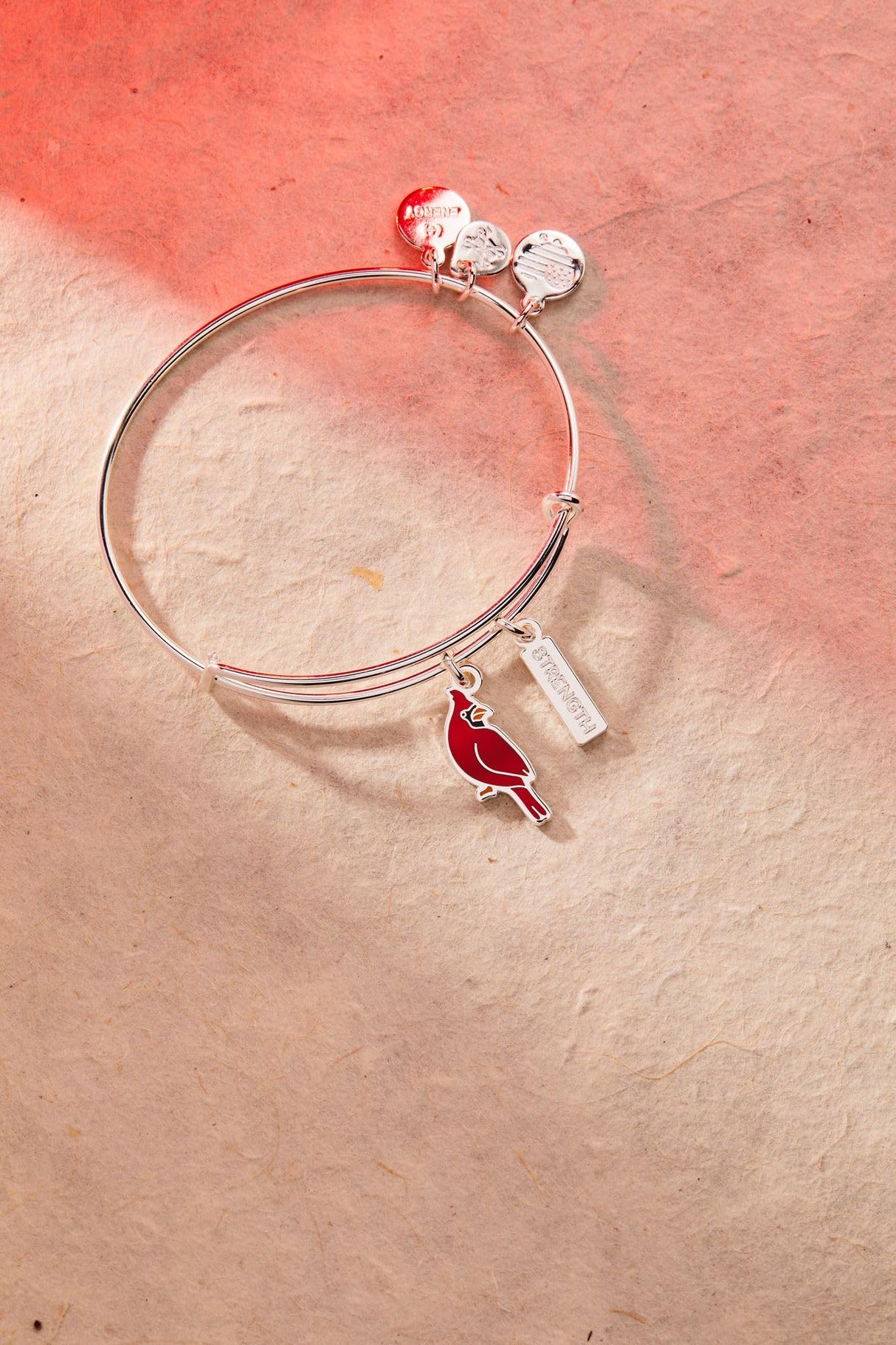 ALEX AND ANI 'Strength' Cardinal Duo Charm Bangle Bracelet - Red Cardinal Charm, Inspirational 'Strength' Accent, Nickel-Free, Cardinal Jewelry for Women (Shiny Silver)