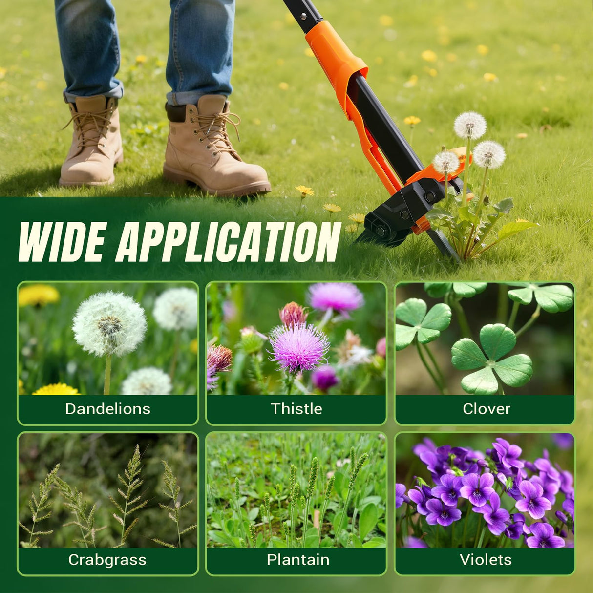 Crywag Weed Puller Tool - Stand Up Weed Puller with 4-Claw Steel Head, 39" Retractable Handle & Easy-Eject Mechanism for Dandelions, Clover & More, No Bending or Kneeling
