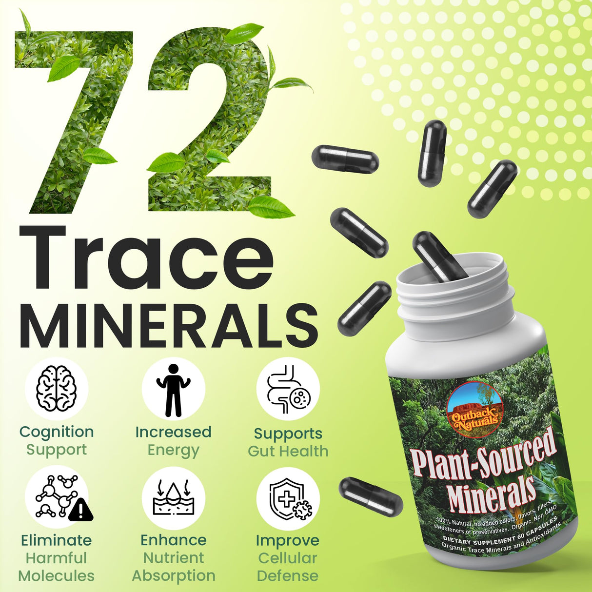 Outback Naturals Fulvic Humic Mineral Blend of Plant-Sourced Trace Minerals, Fulvic & Humic Extracts for Immune Support, Vitality, Hydration & General Health - Pure Body Essentials - 60 Capsules