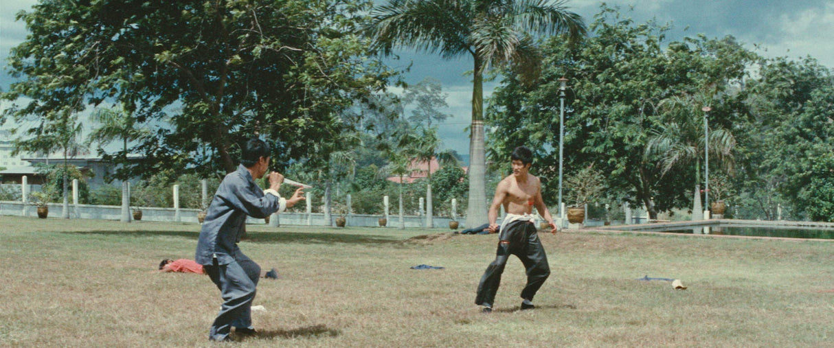 Bruce Lee: His Greatest Hits (The Big Boss / Fist of Fury / The Way of the Dragon / Enter the Dragon / Game of Death) (The Criterion Collection)